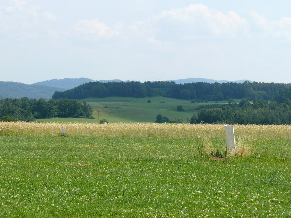Letiště Český Dub foto 5