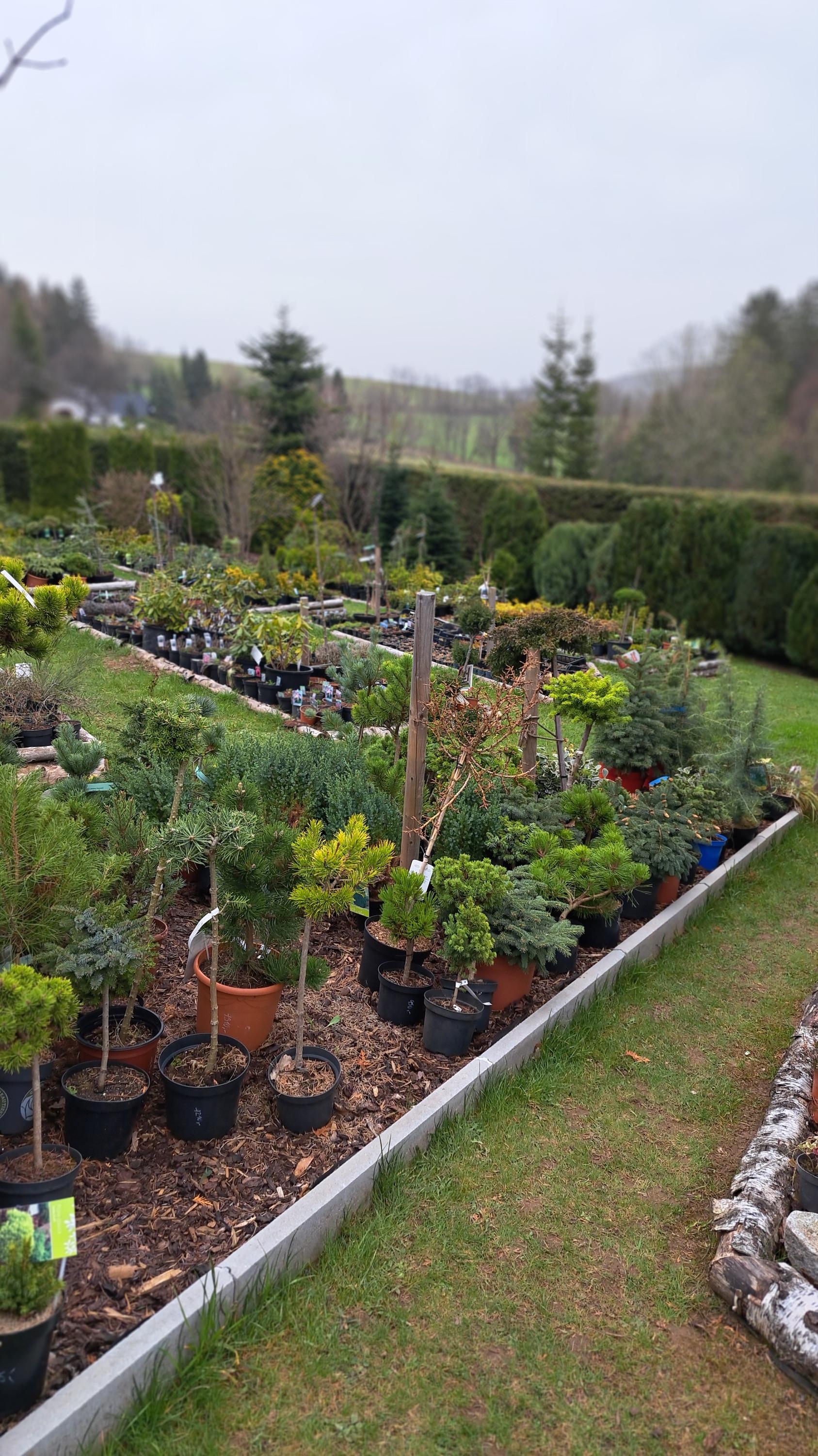 Zahradnictvi u Lizu foto 3