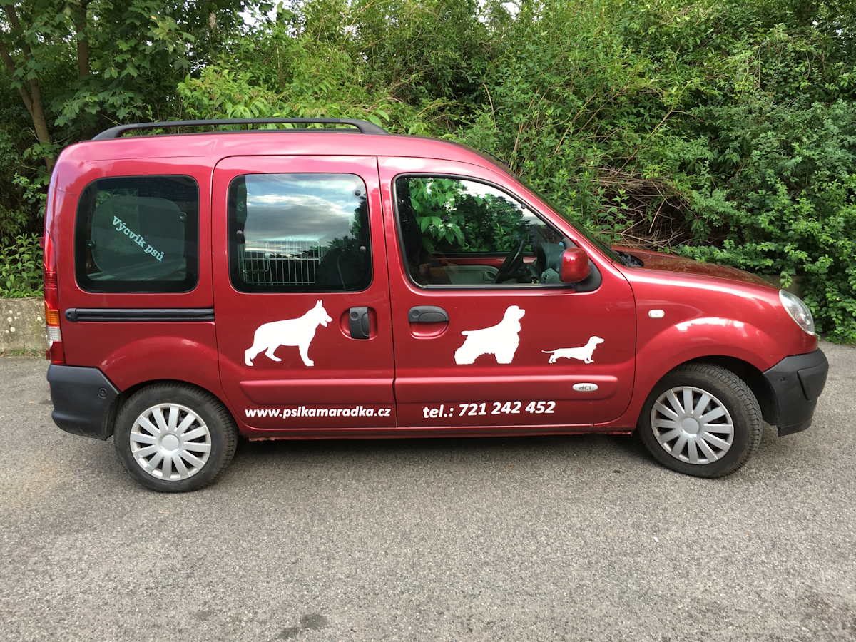 Marta Skálová - Výcvik psů foto 2