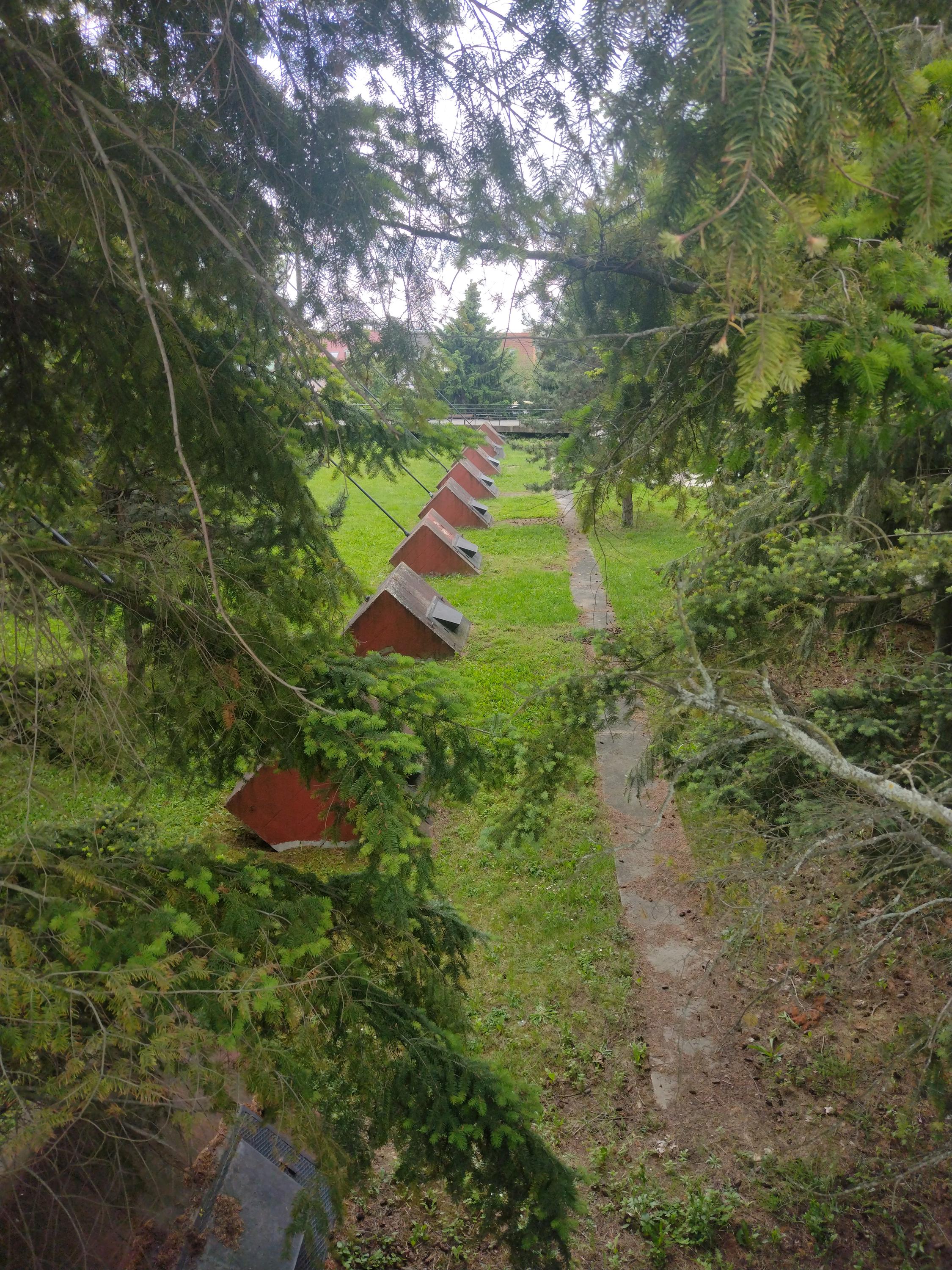 Sportovní areál TJ TESLA BRNO z.s. foto 2