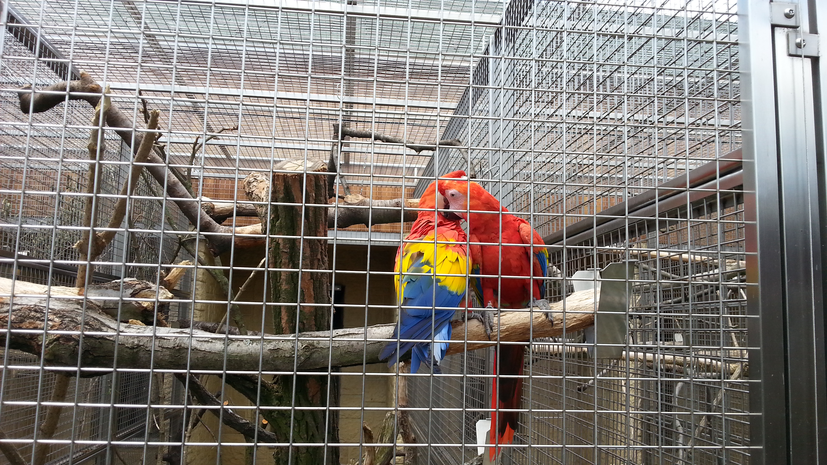 Papoušcí zoologická zahrada foto 2