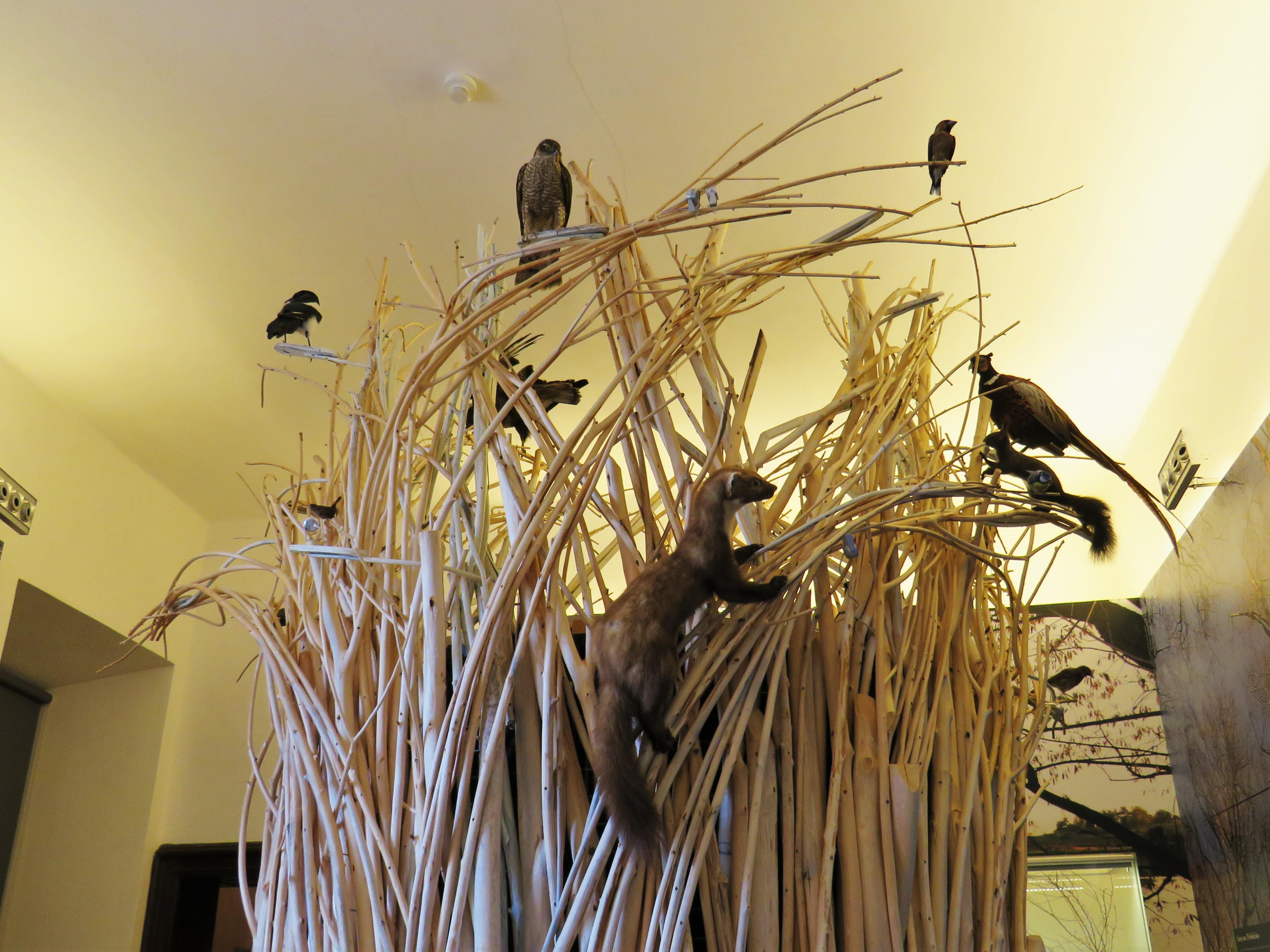 Muzeum Vysočiny Třebíč foto 4