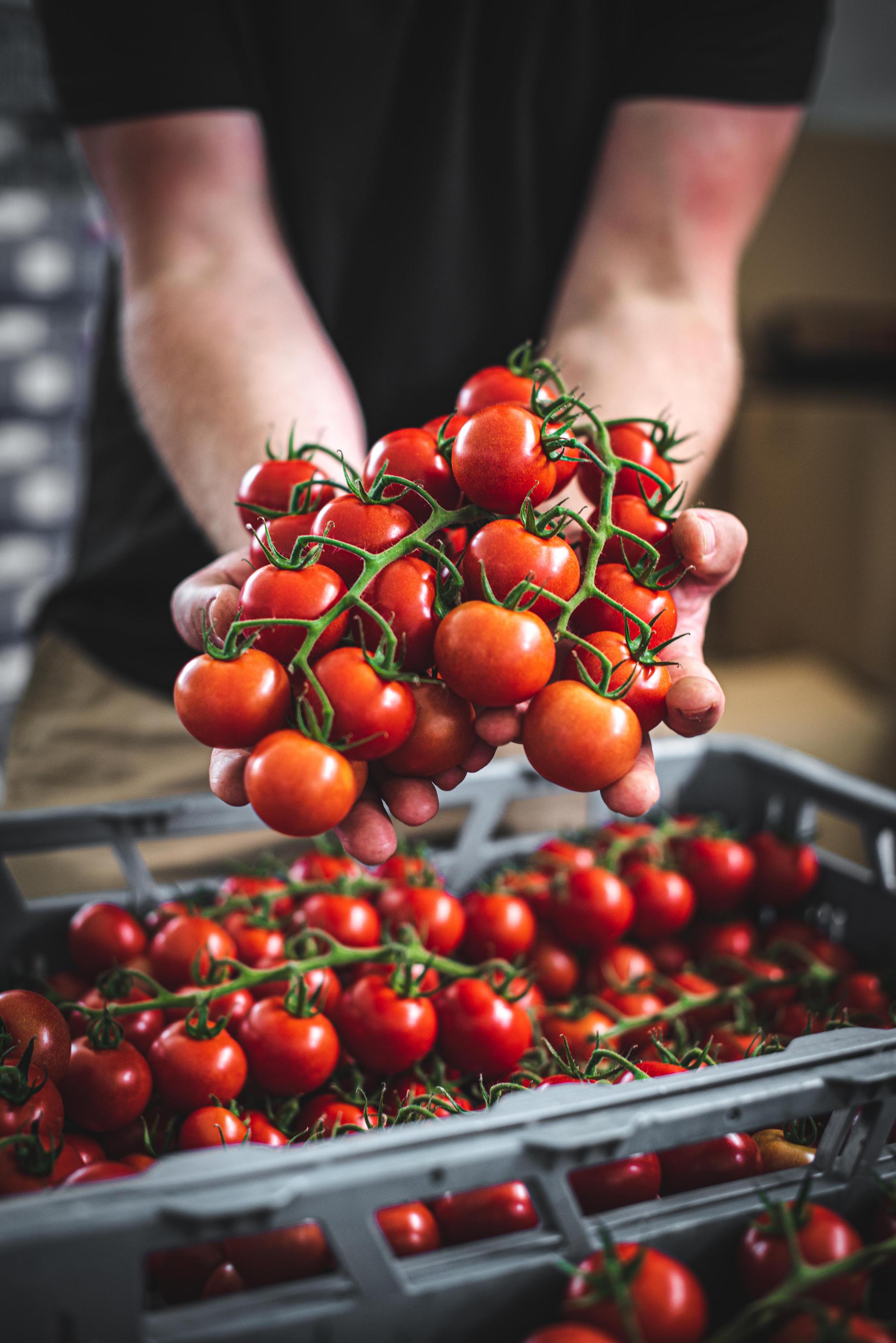 Farma Ráječek - prodejna foto 2