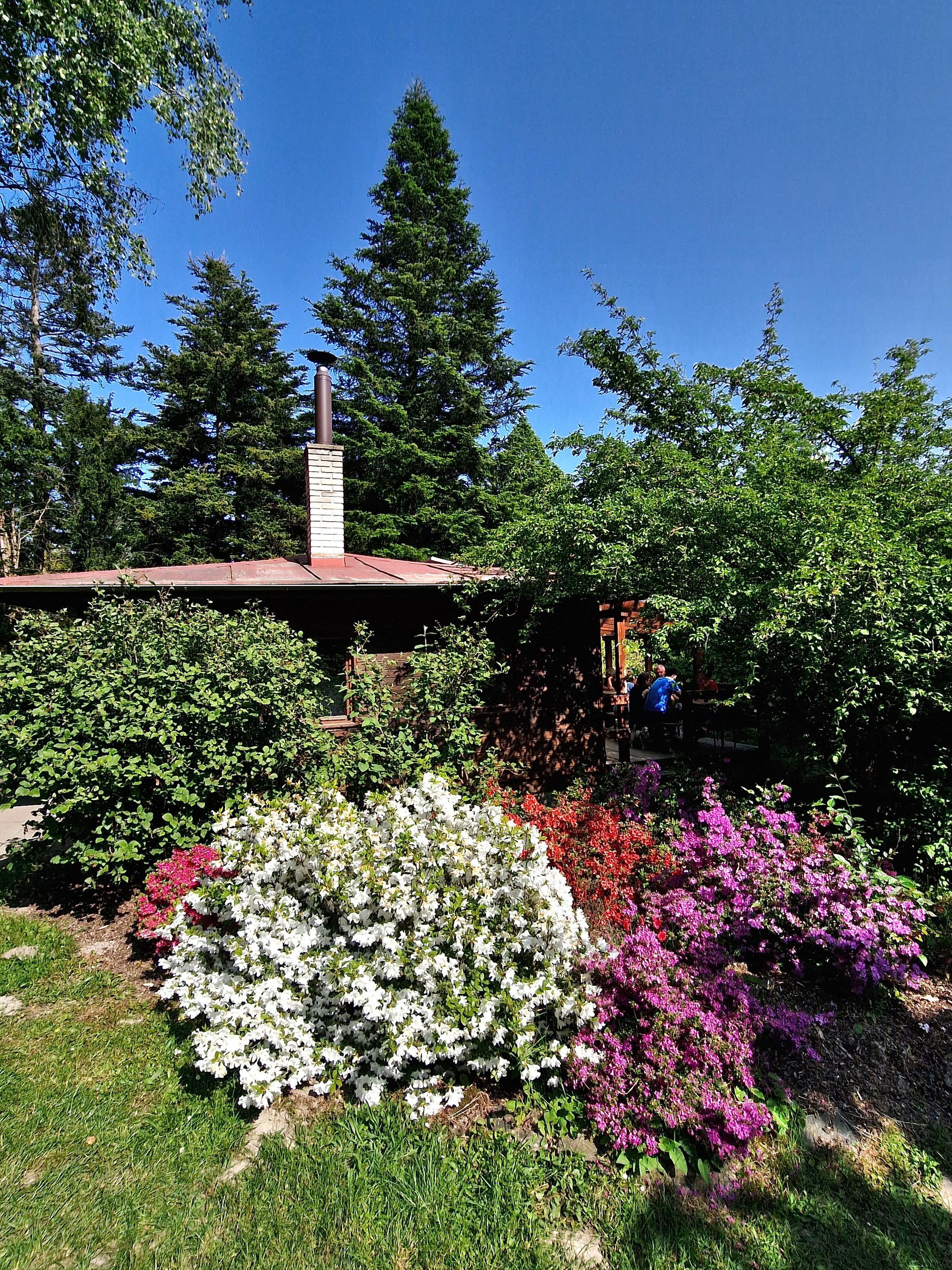 ČZU - Arboretum Fakulty lesnické a dřevařské foto 3