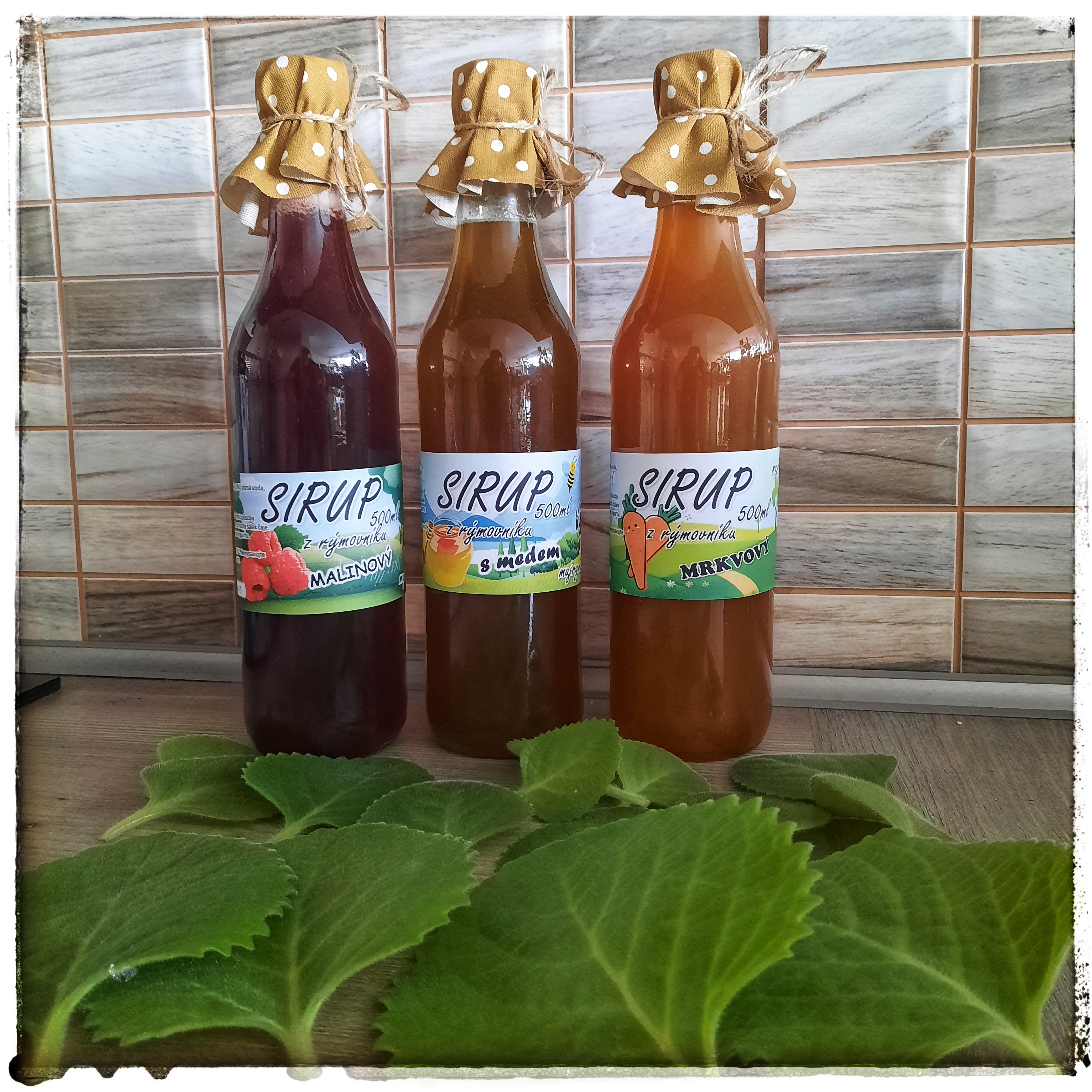 Můj rýmovník foto 2