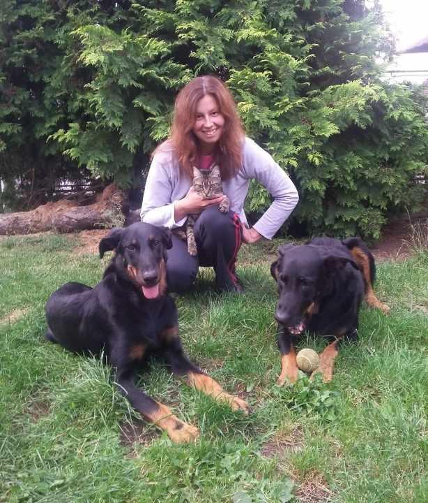 DOMVET - MVDr. Karolína Nevřelová - veterinář do domu foto 2