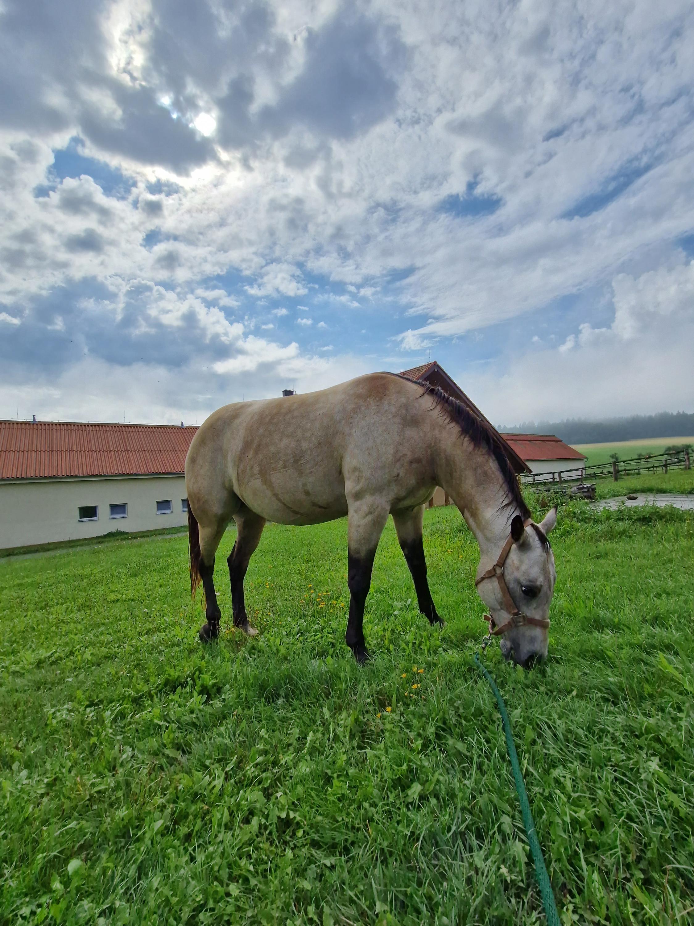 Pension-Country-Relax foto 3