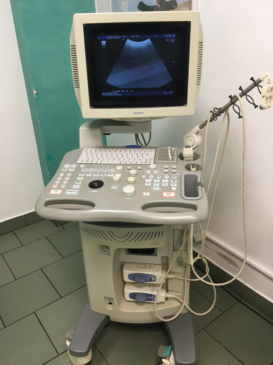 Veterinární nemocnice VetPro Český Brod foto 2