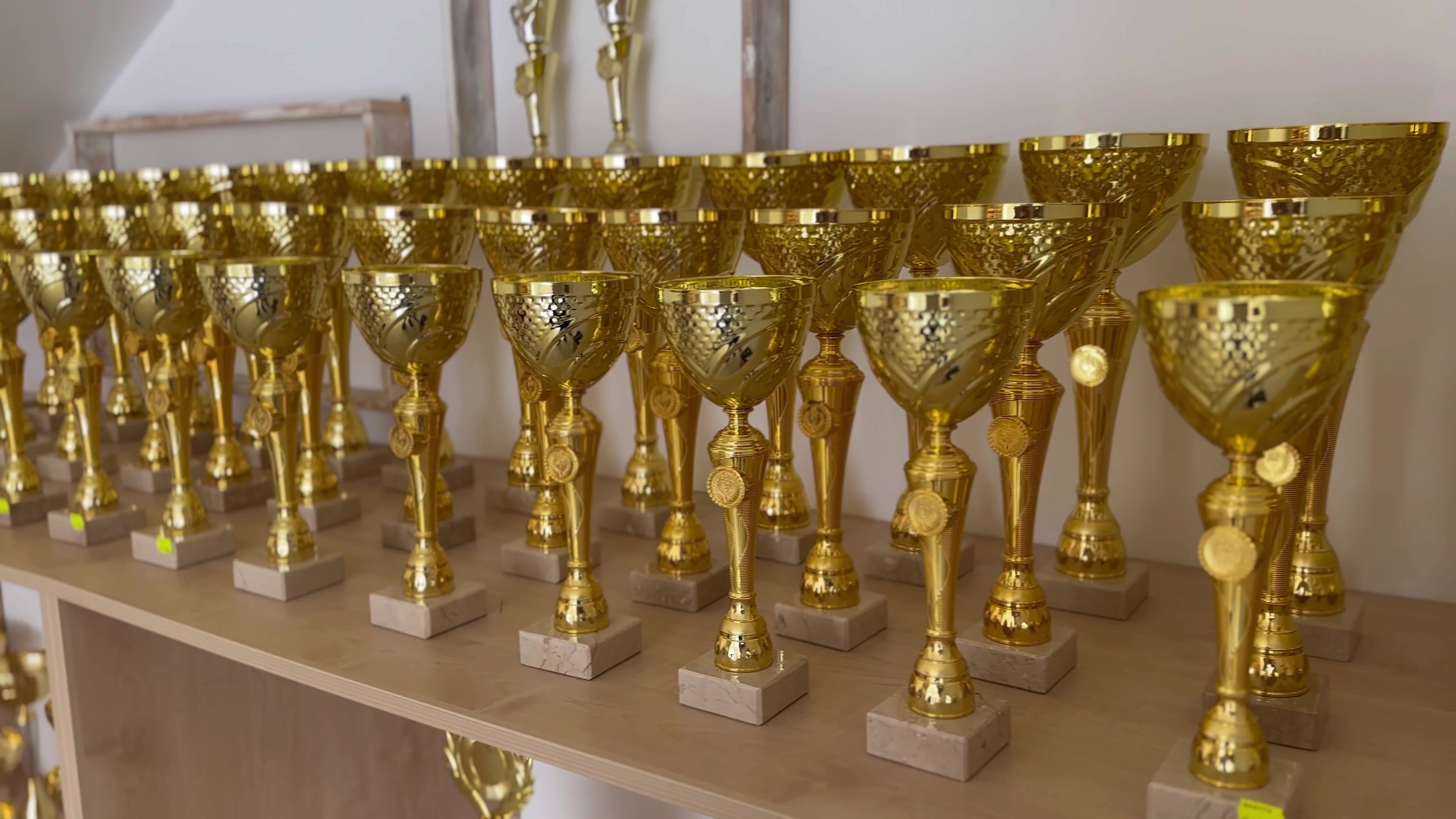 Winner poháry foto 2 (náhled videa)