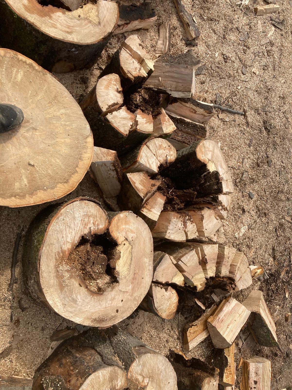 Palivové dřevo Morava - Slezsko, Házerová, s. r. o. foto 5