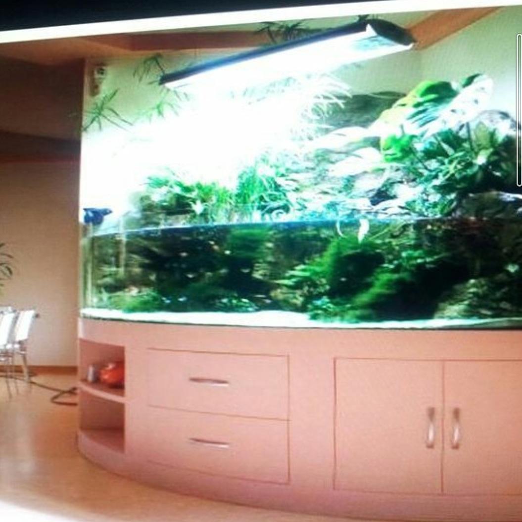 Originalniakvaria.cz foto 3