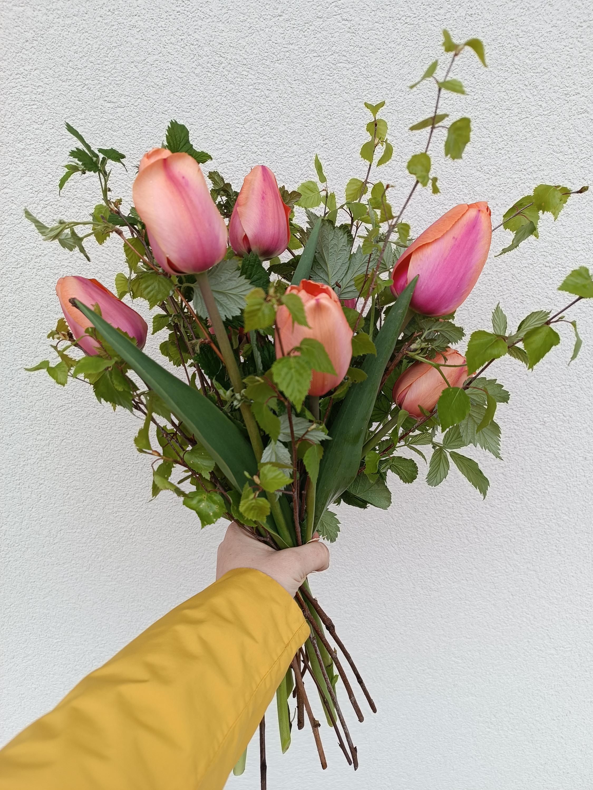 Kytky z Kamene foto 6