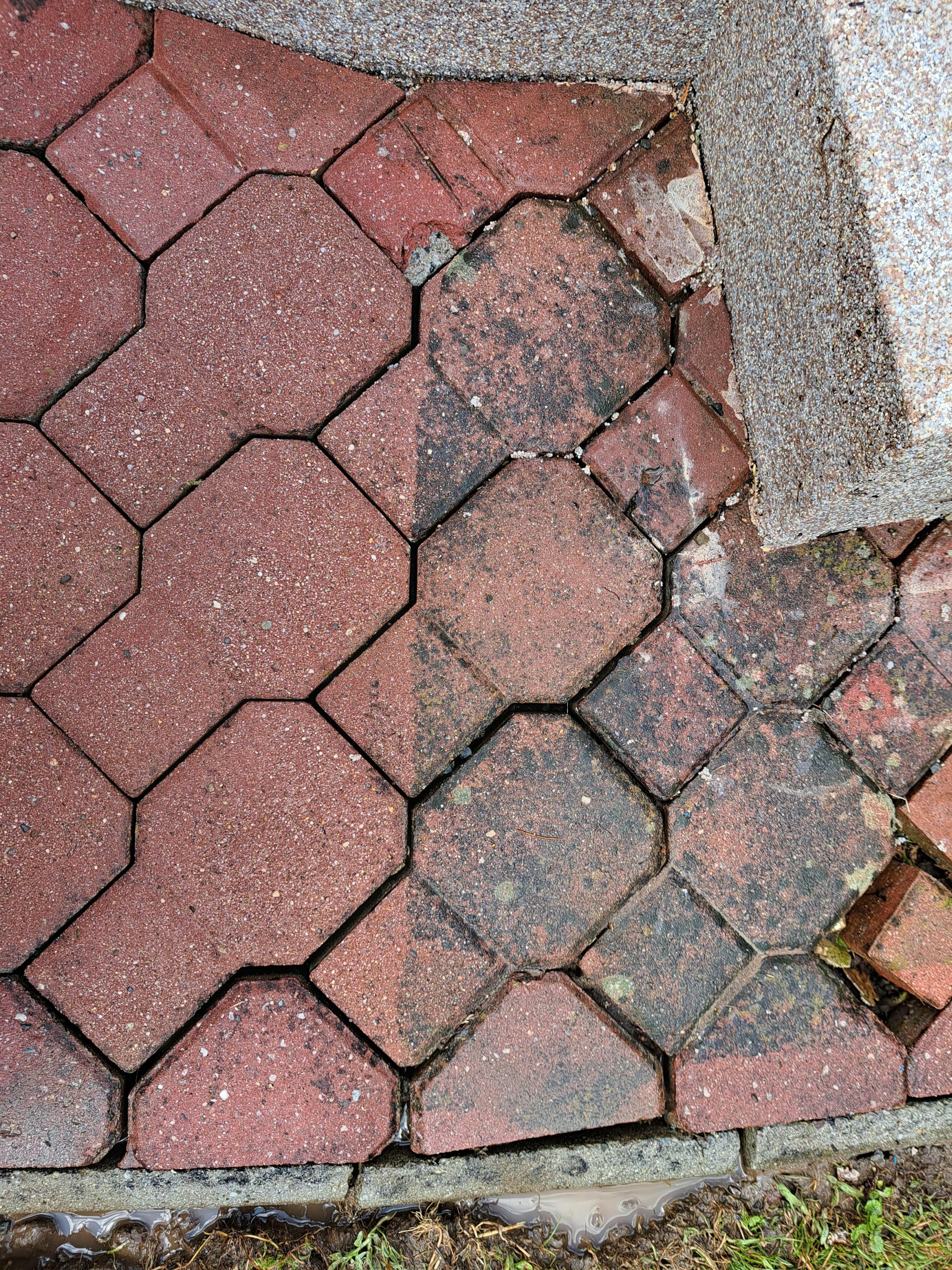 Čištění, nátěr střech a fasád | Clean and Repair Solutions foto 3