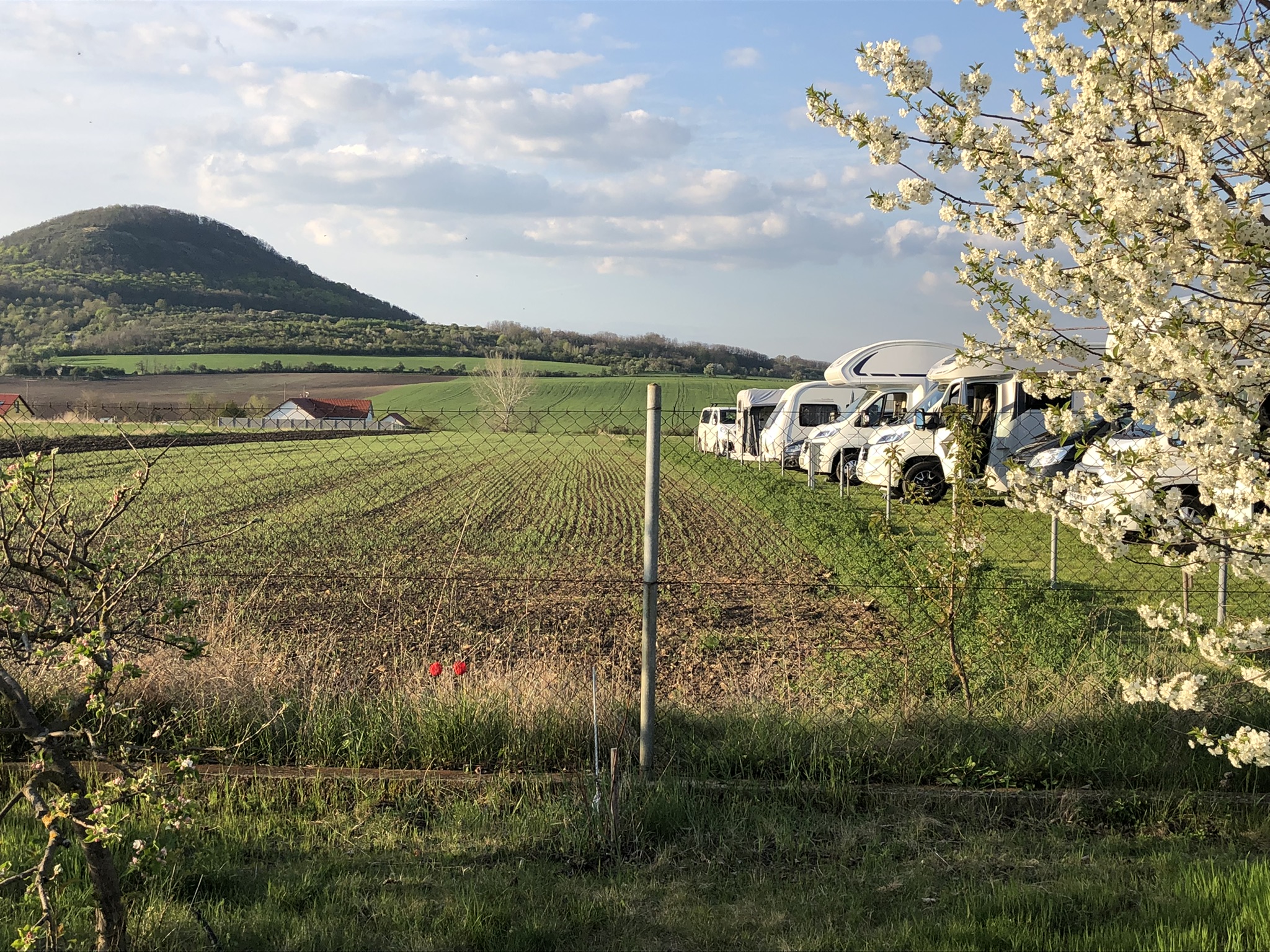 Stellplatz-Říp foto 5