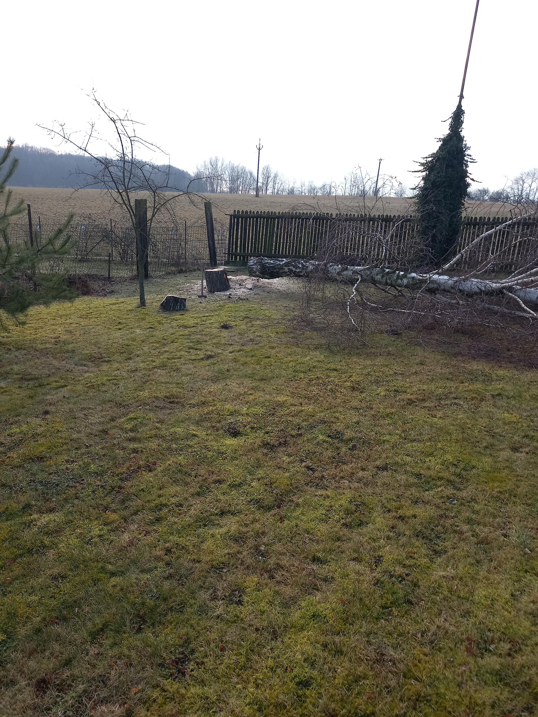 LU&MI - ZAHRADY foto 6