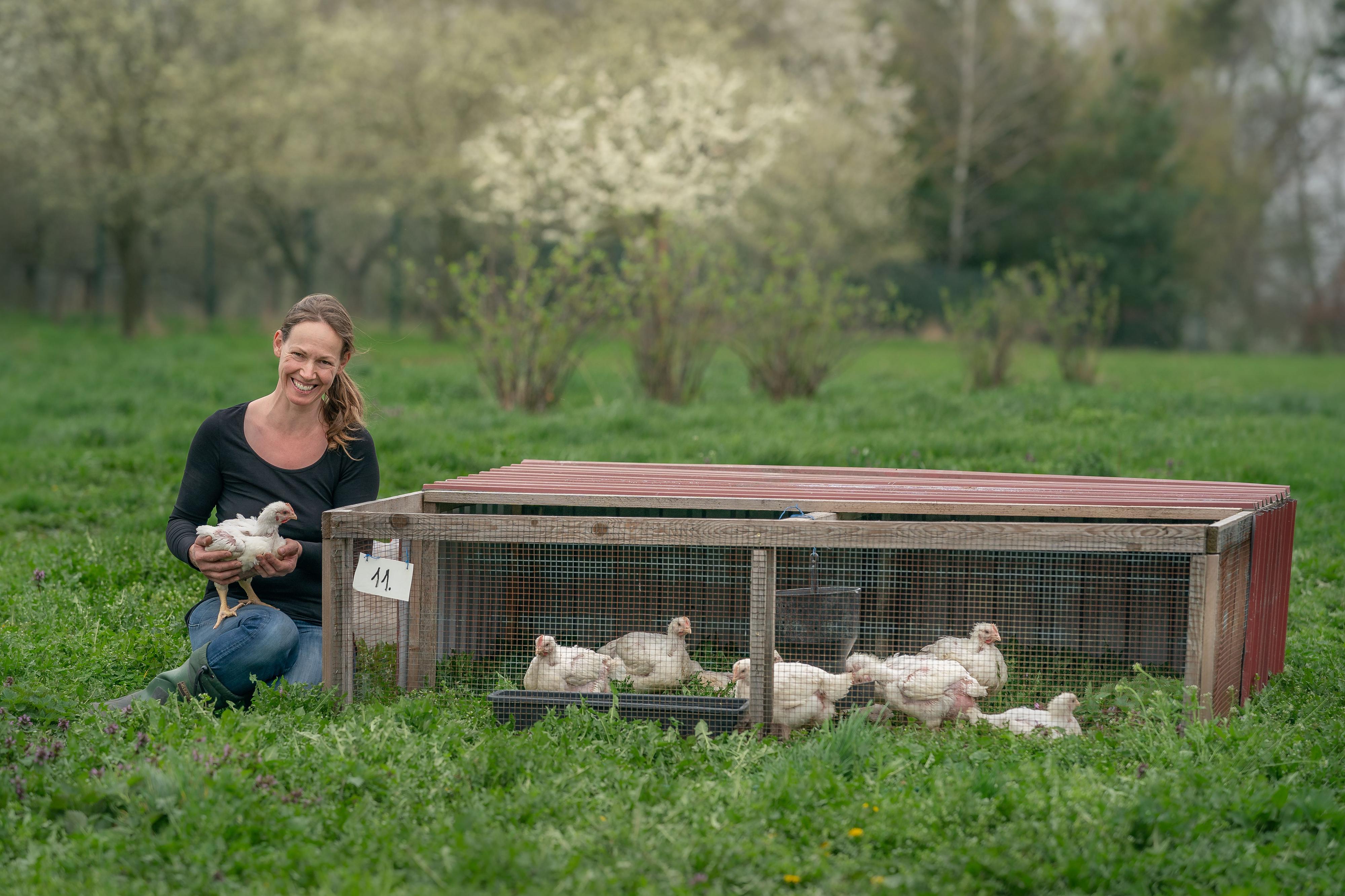 Dášino kuře z Kutnohorska foto 3