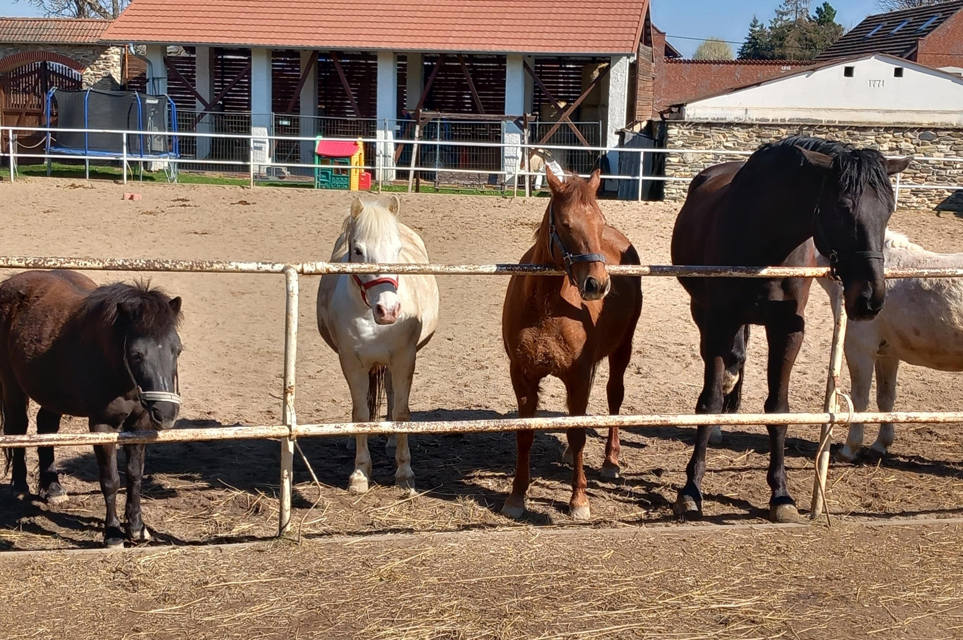 Jezdecká škola Trojanův Dvůr