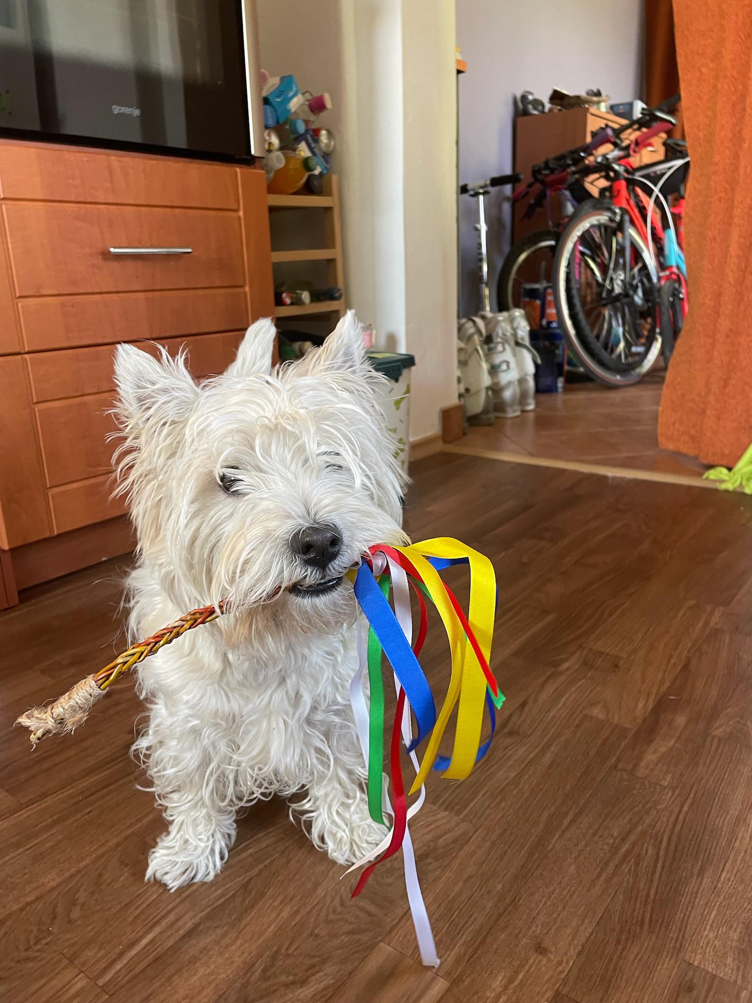 Chovatelská stanice Mystery of Dragon foto 2