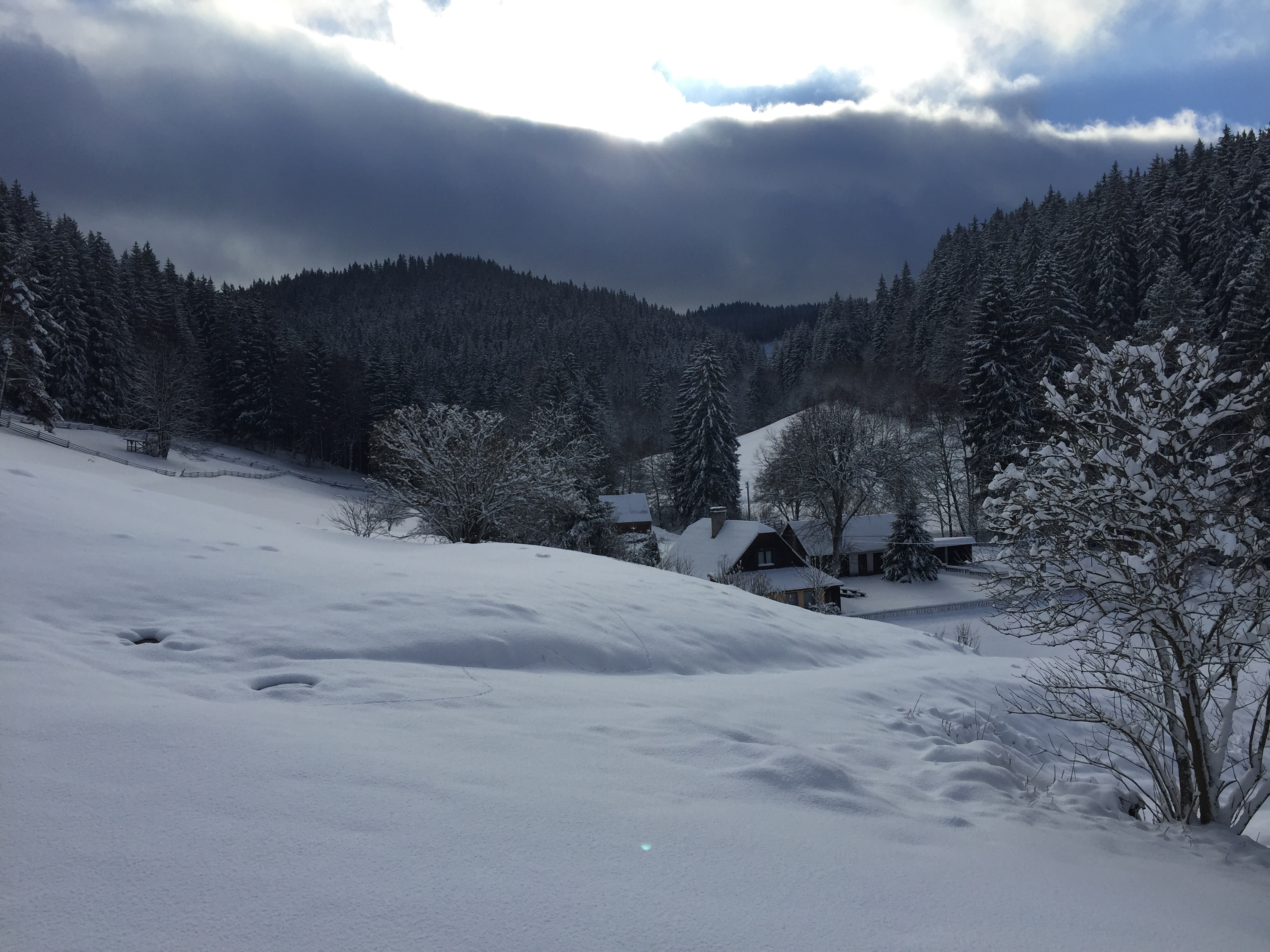 Ski areál Razula - sjezdovka Horal