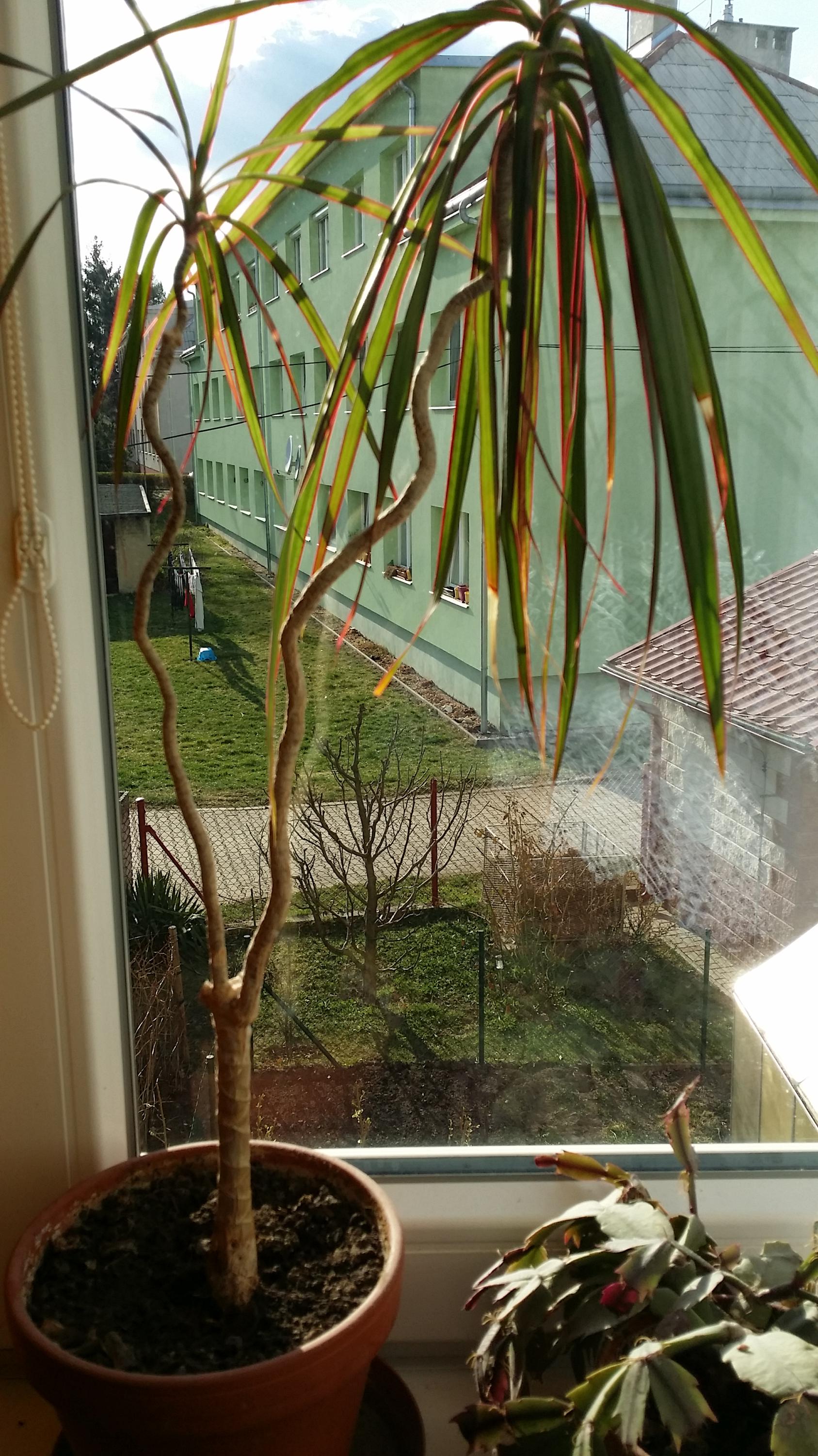 Sportovní hala Kbely foto 5