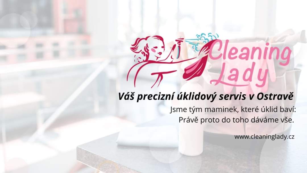 Cleaning Lady foto 2