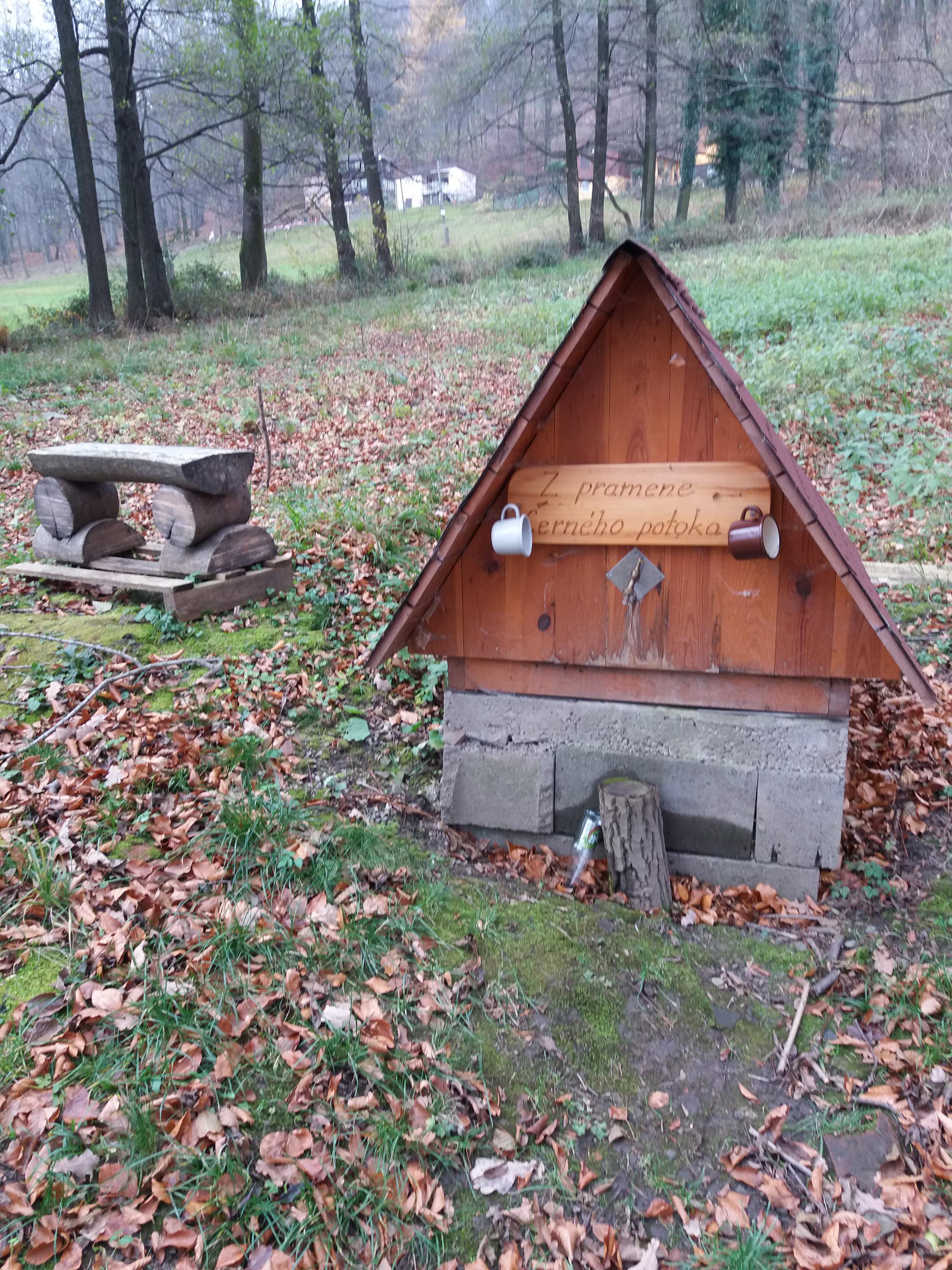 Bylinné lázničky foto 6