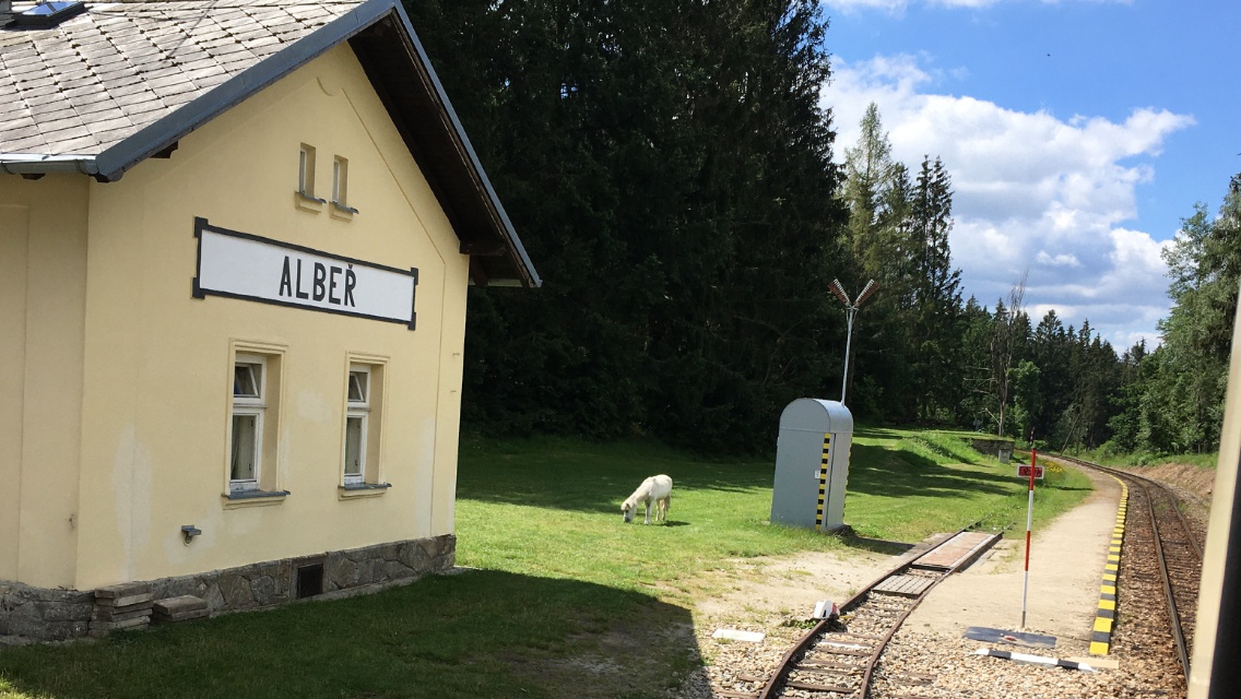 Jindřichohradecké místní dráhy, a.s. foto 3