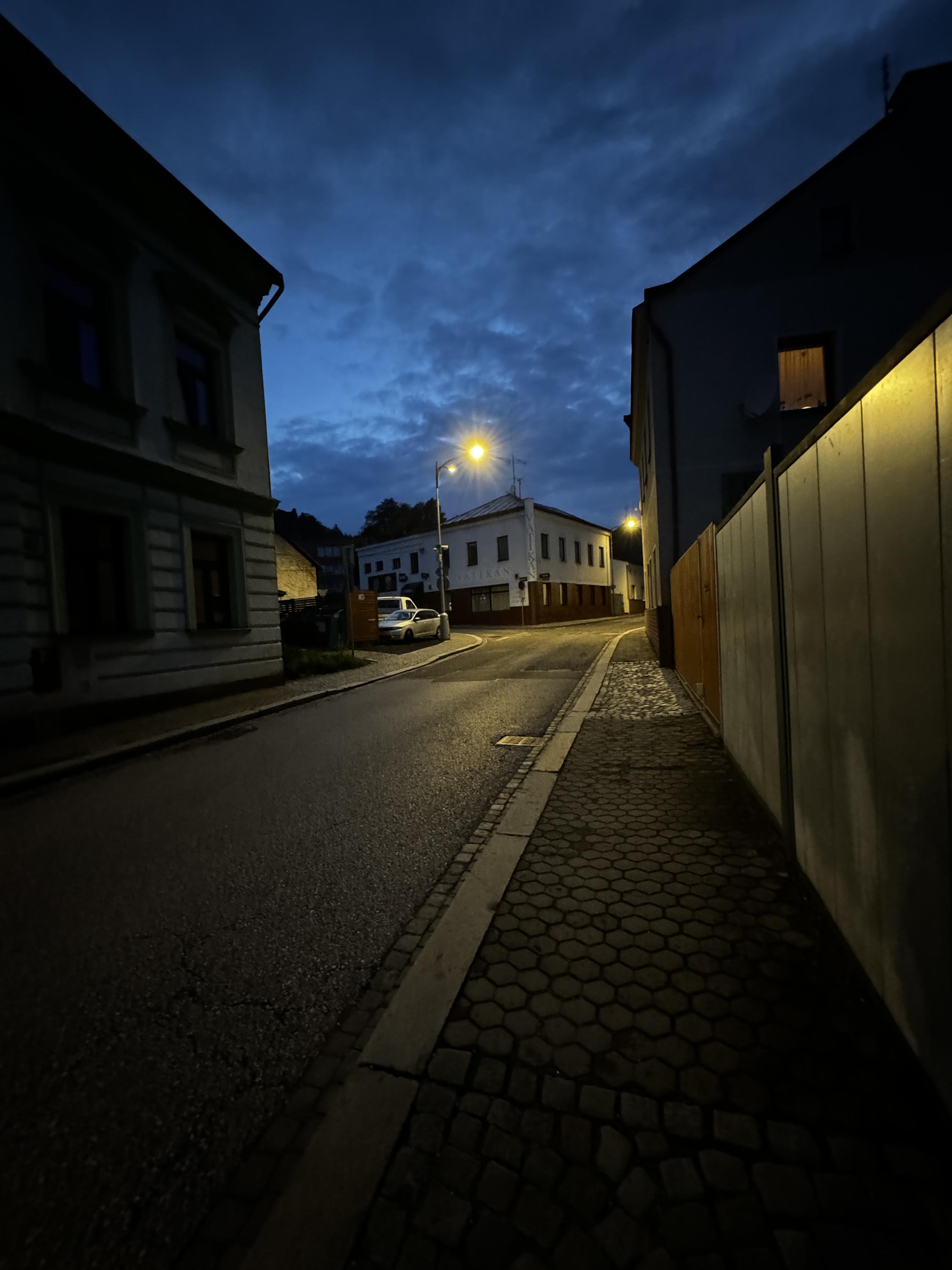 Restaurace Vatikán foto 4