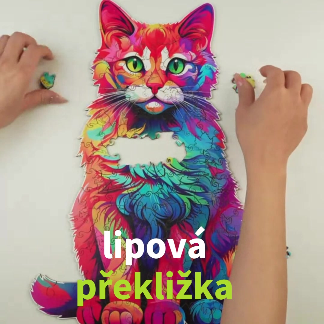Stavebnice-puzzle.cz foto 2 (náhled videa)