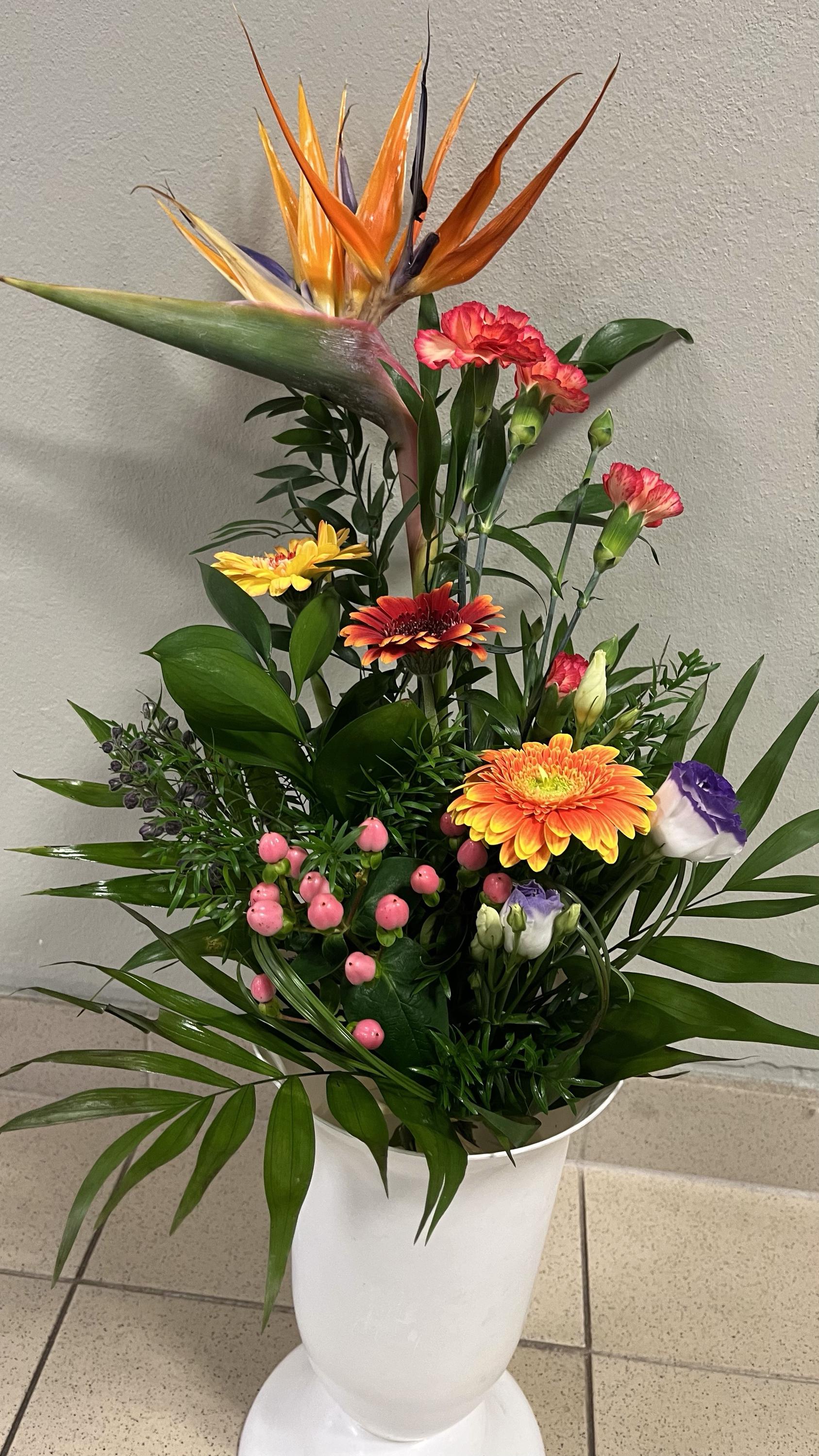 Květiny Chrpa foto 6