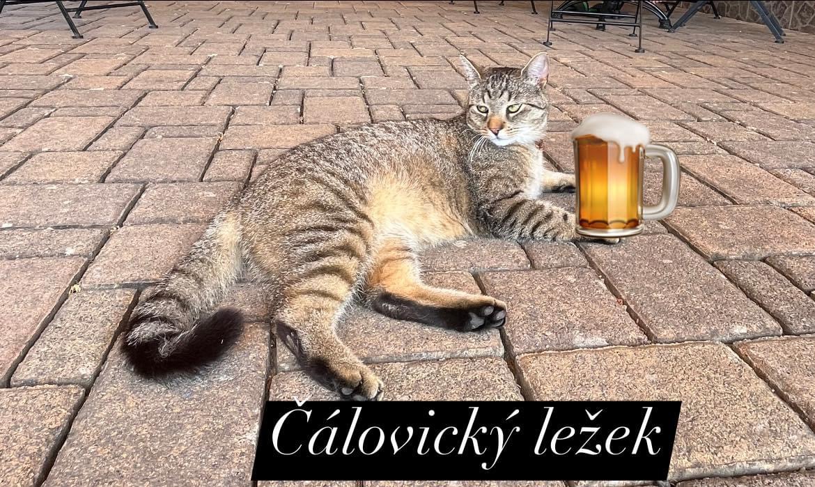 Kavárnička v ráji foto 3