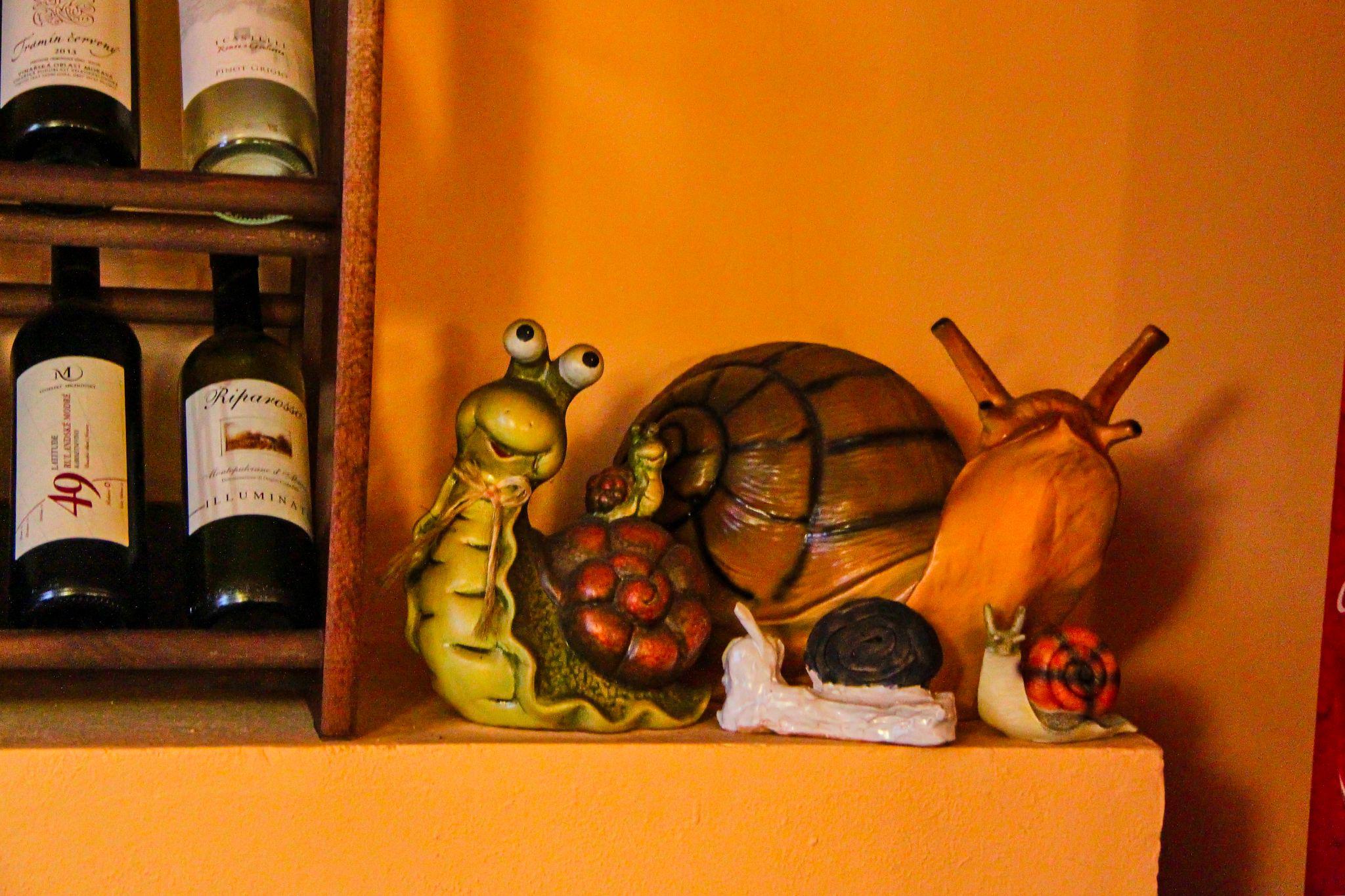 Pizzerie U Šneka Pohodáře foto 3