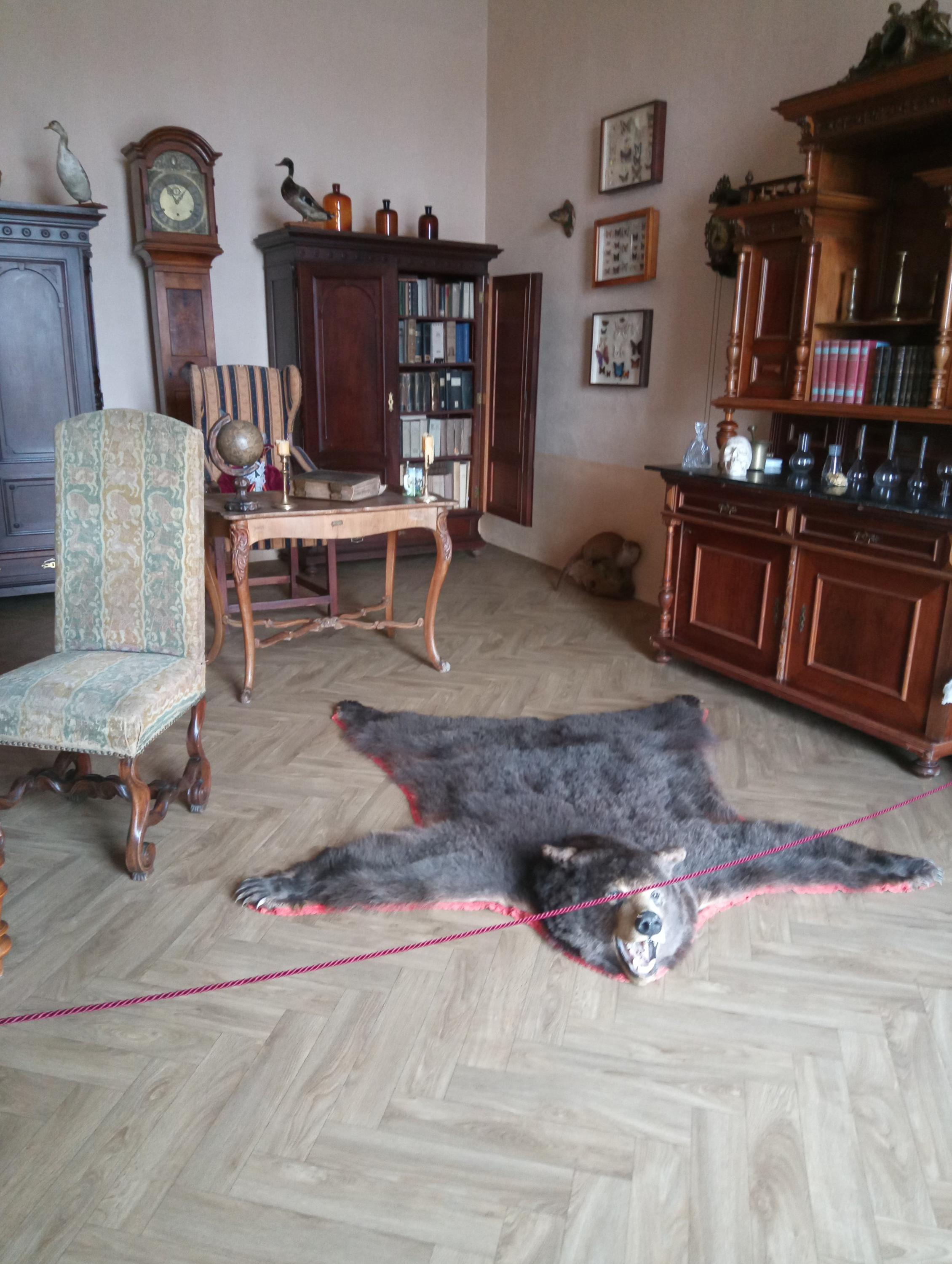 Zámek Slezské Rudoltice foto 4