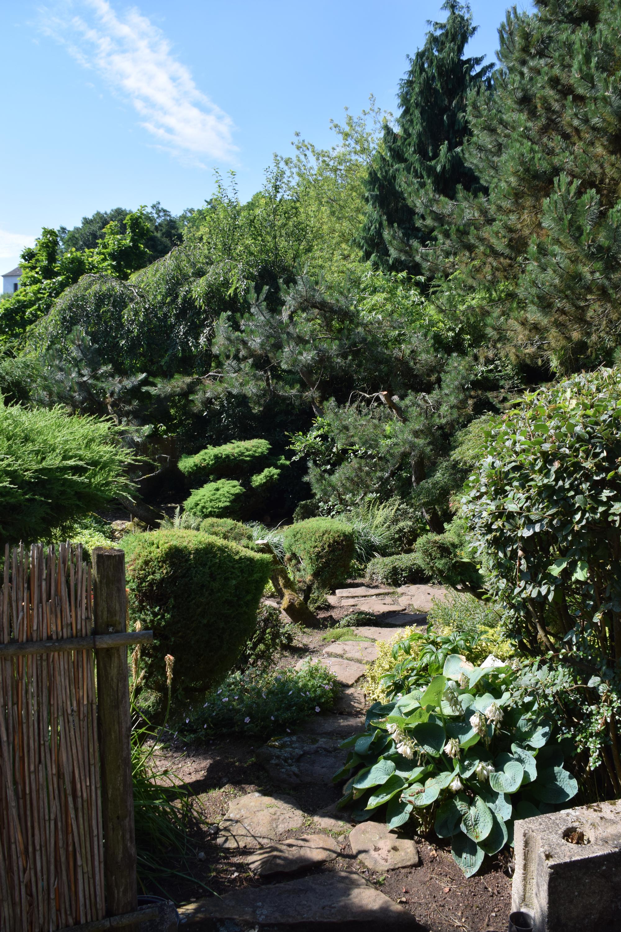 Zahradnictví SAK František Chlup foto 4