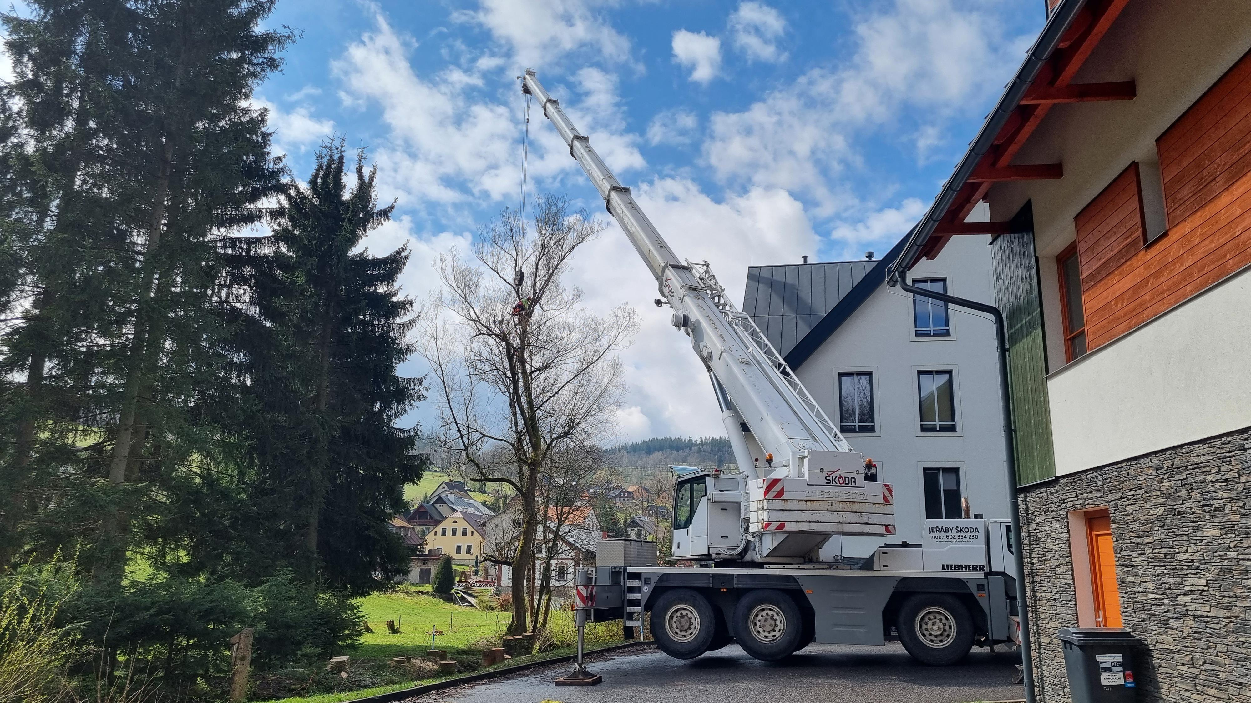 Ondřej Skalský - Služby v lesním hospodářství foto 6