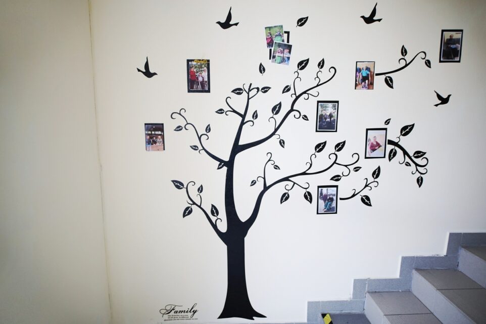 Senevida České Budějovice foto 6