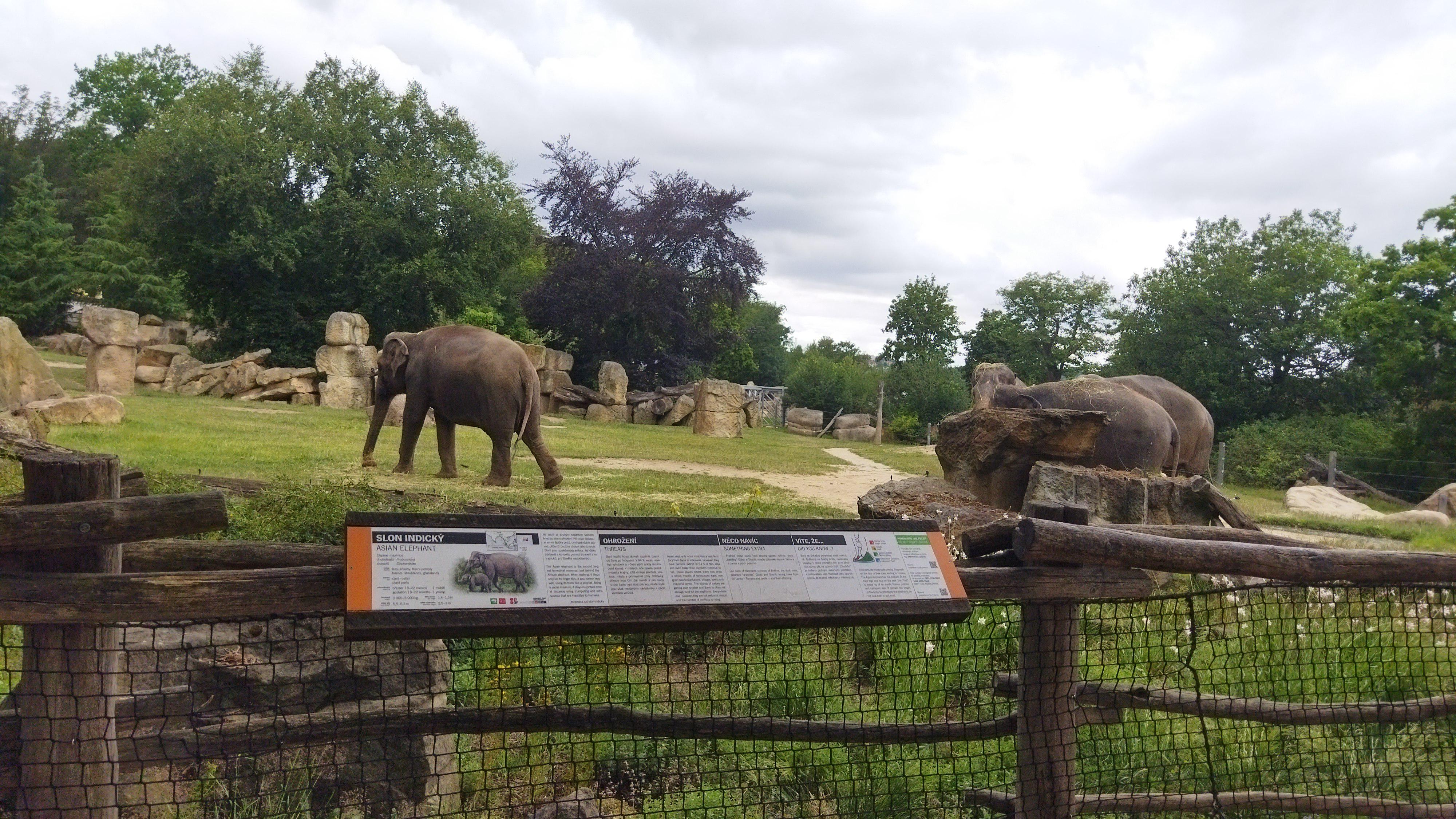 Občerstvení U Restaurace Gulab foto 2