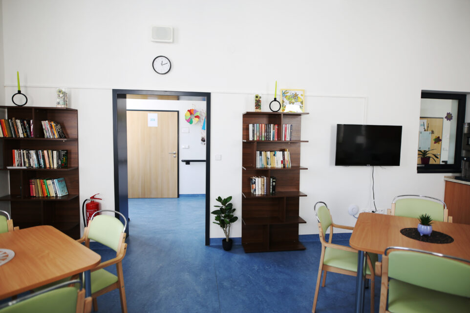 Senevida Kamenice nad Lipou foto 4