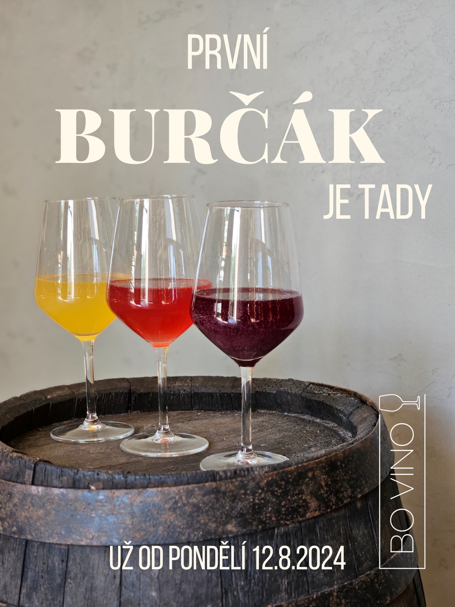 Vinotéka BO VINO foto 2