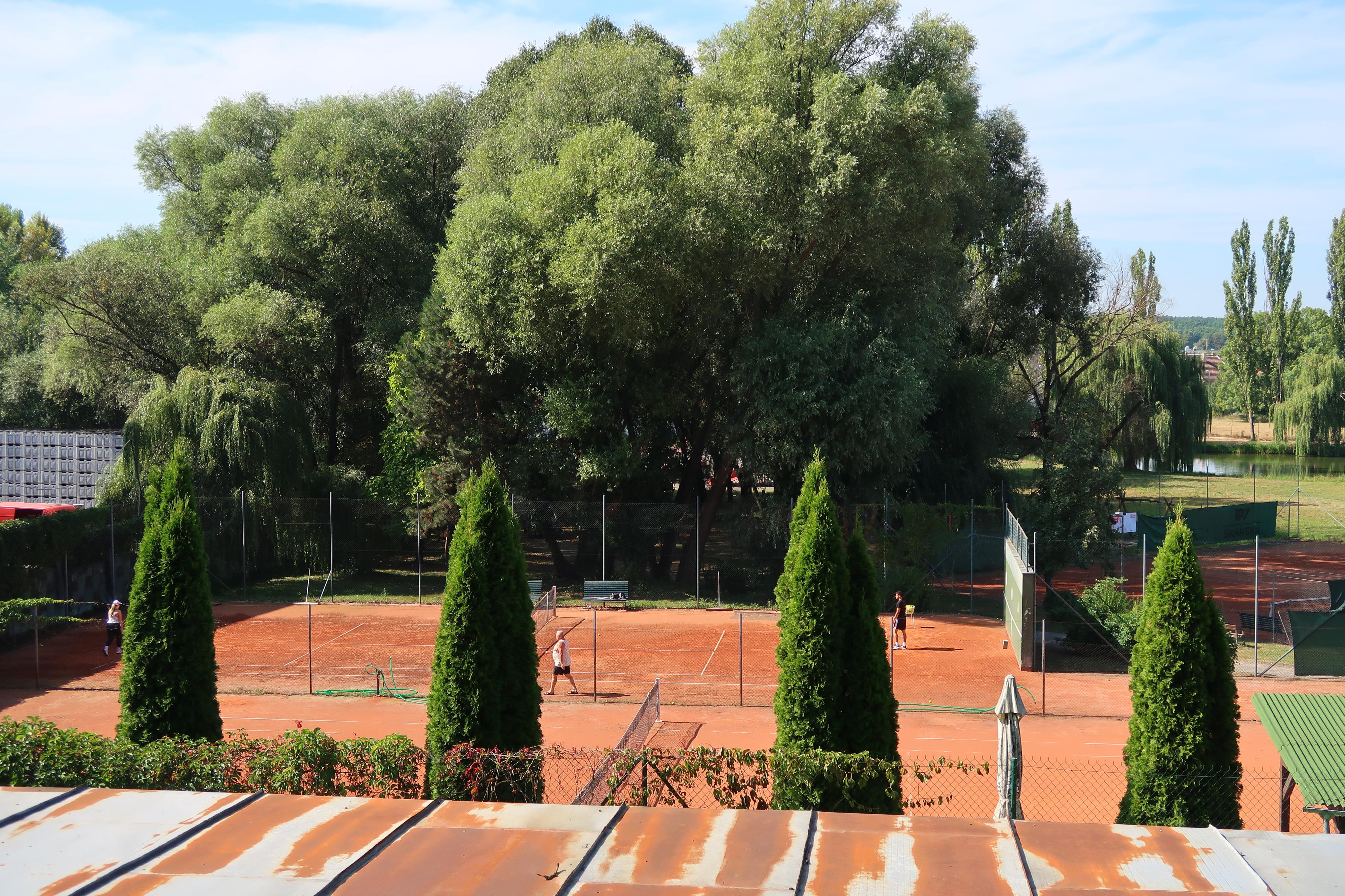 Obec Těmice - Tenis