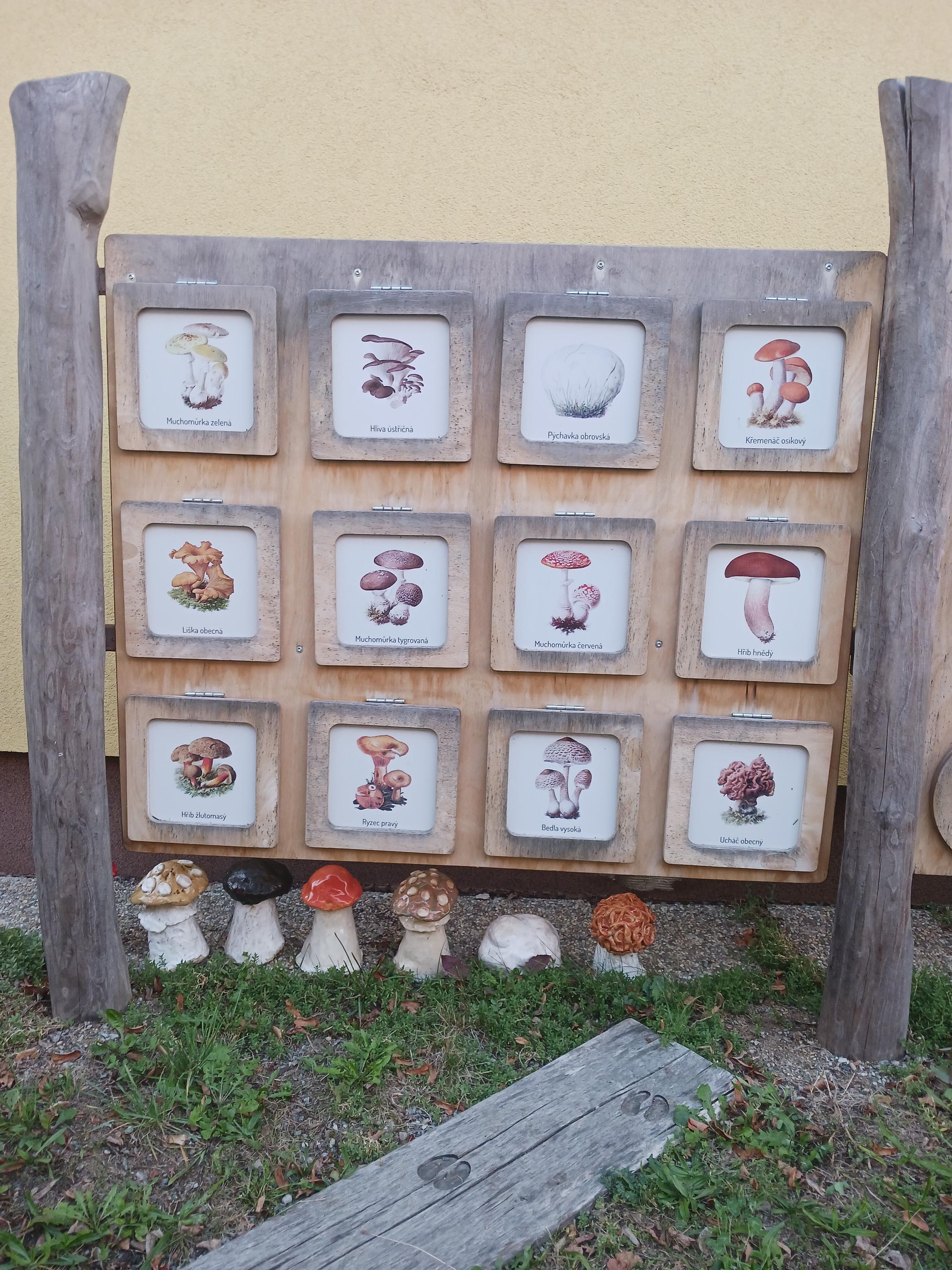 ZŠ Jana Blahoslava Kralice nad Oslavou foto 6