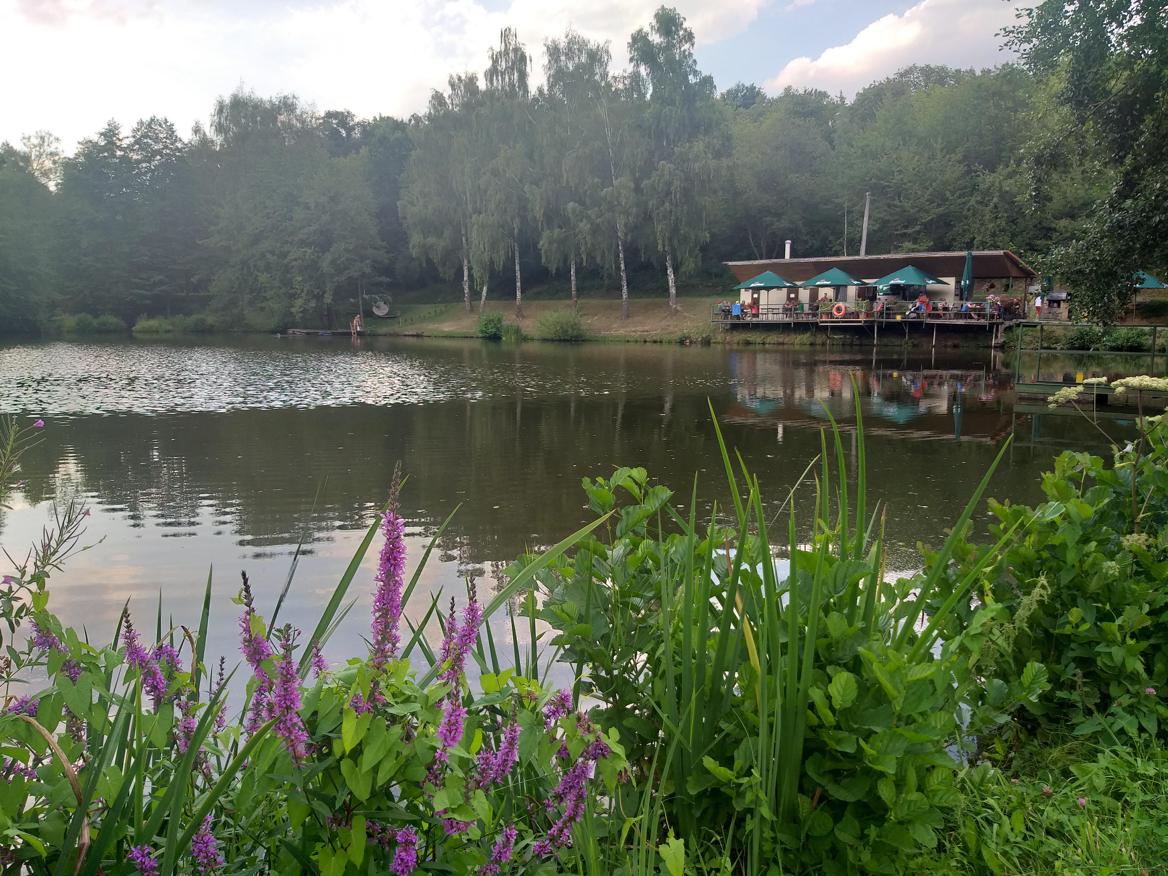Hospoda Na Baště foto 4