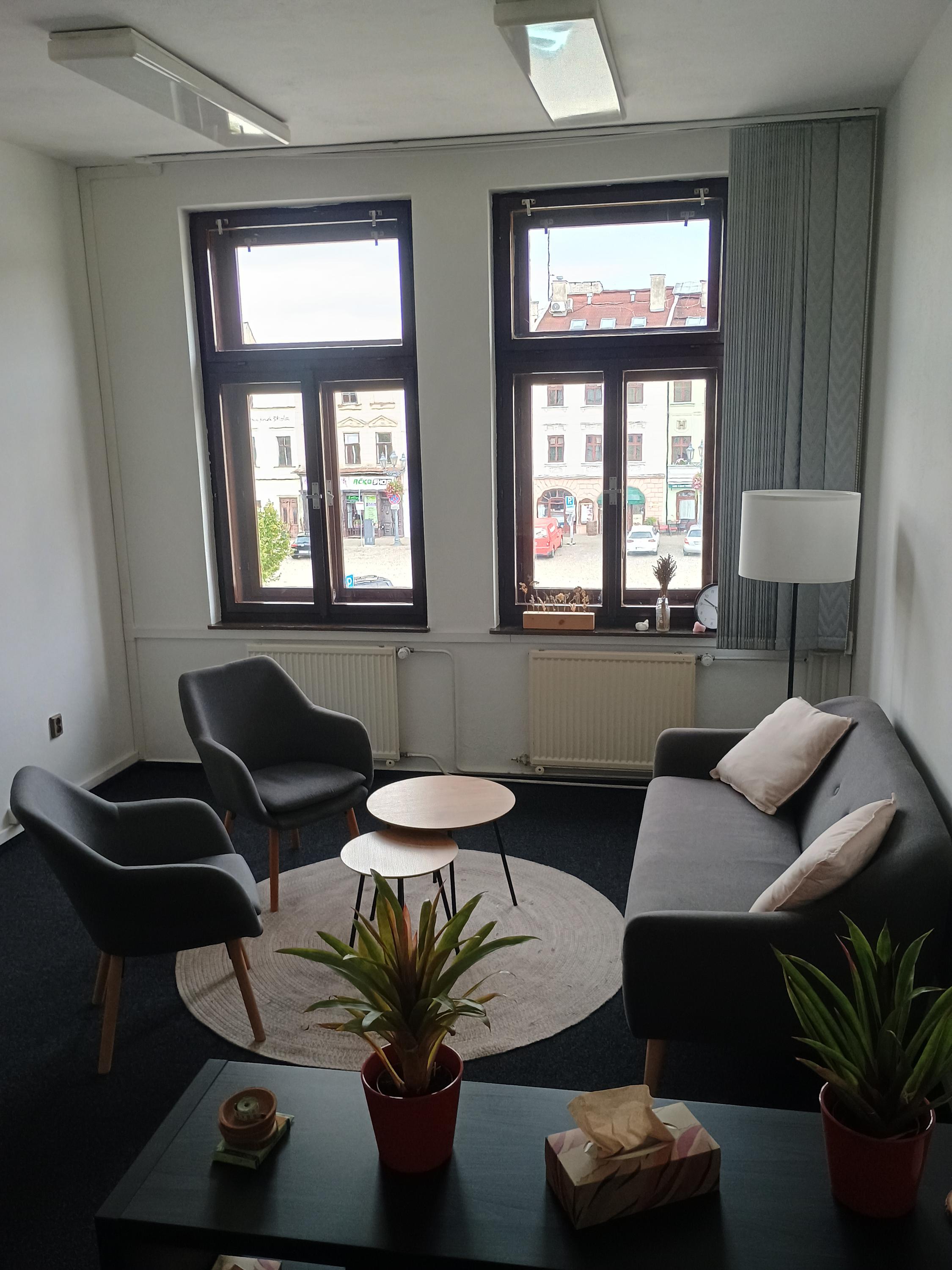 Mgr. Iveta Kaplanová - terapie foto 2