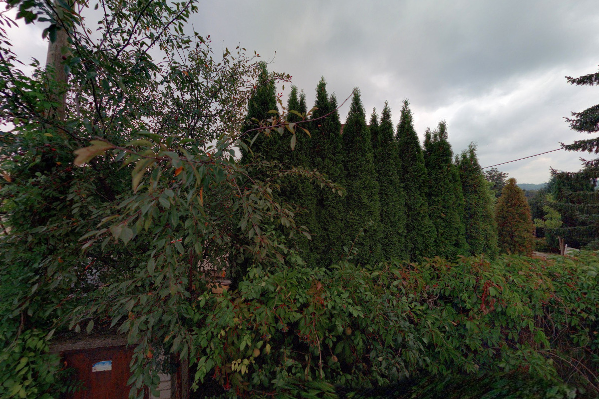 Svaz tělesně postižených v České republice z. s. místní organizace Heřmanův Městec