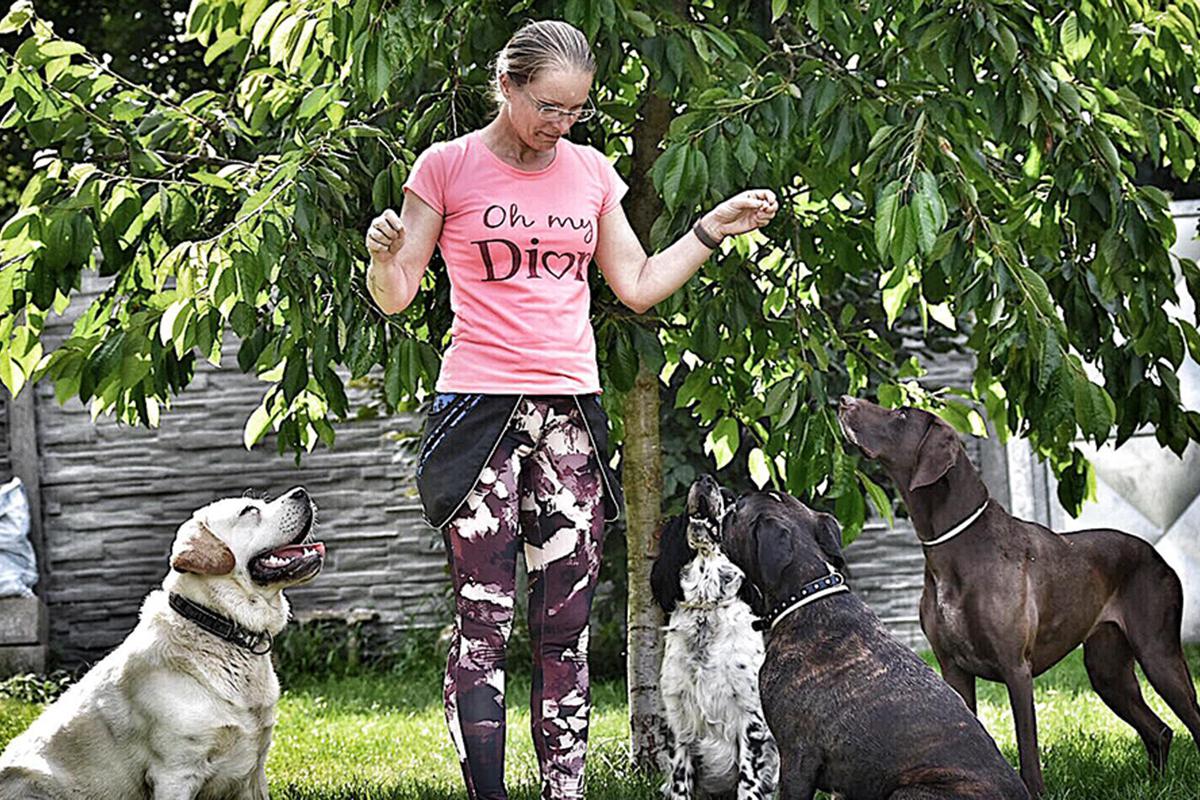 Hotel pro psy Karlovy Vary