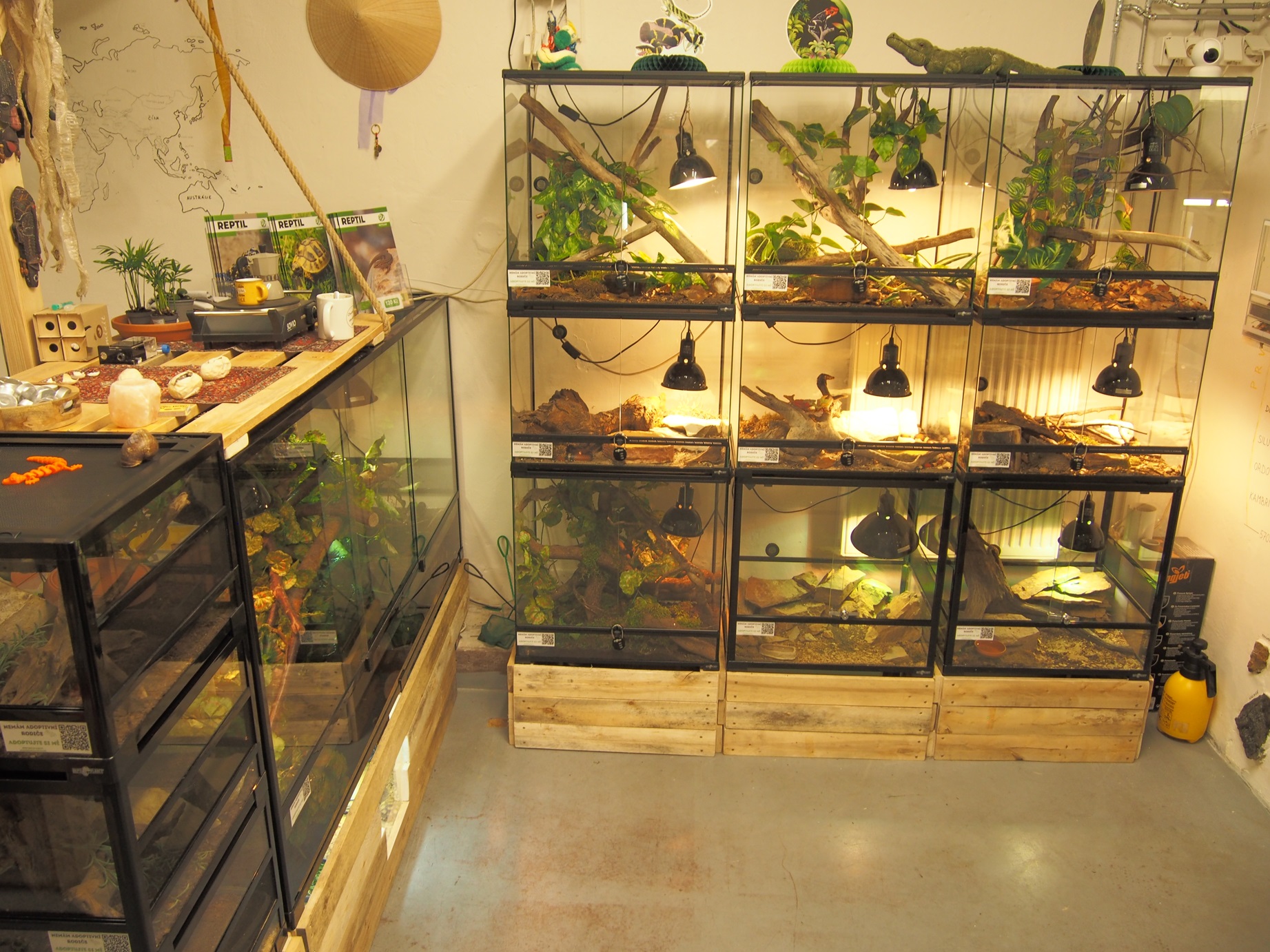 REPTILclub foto 4