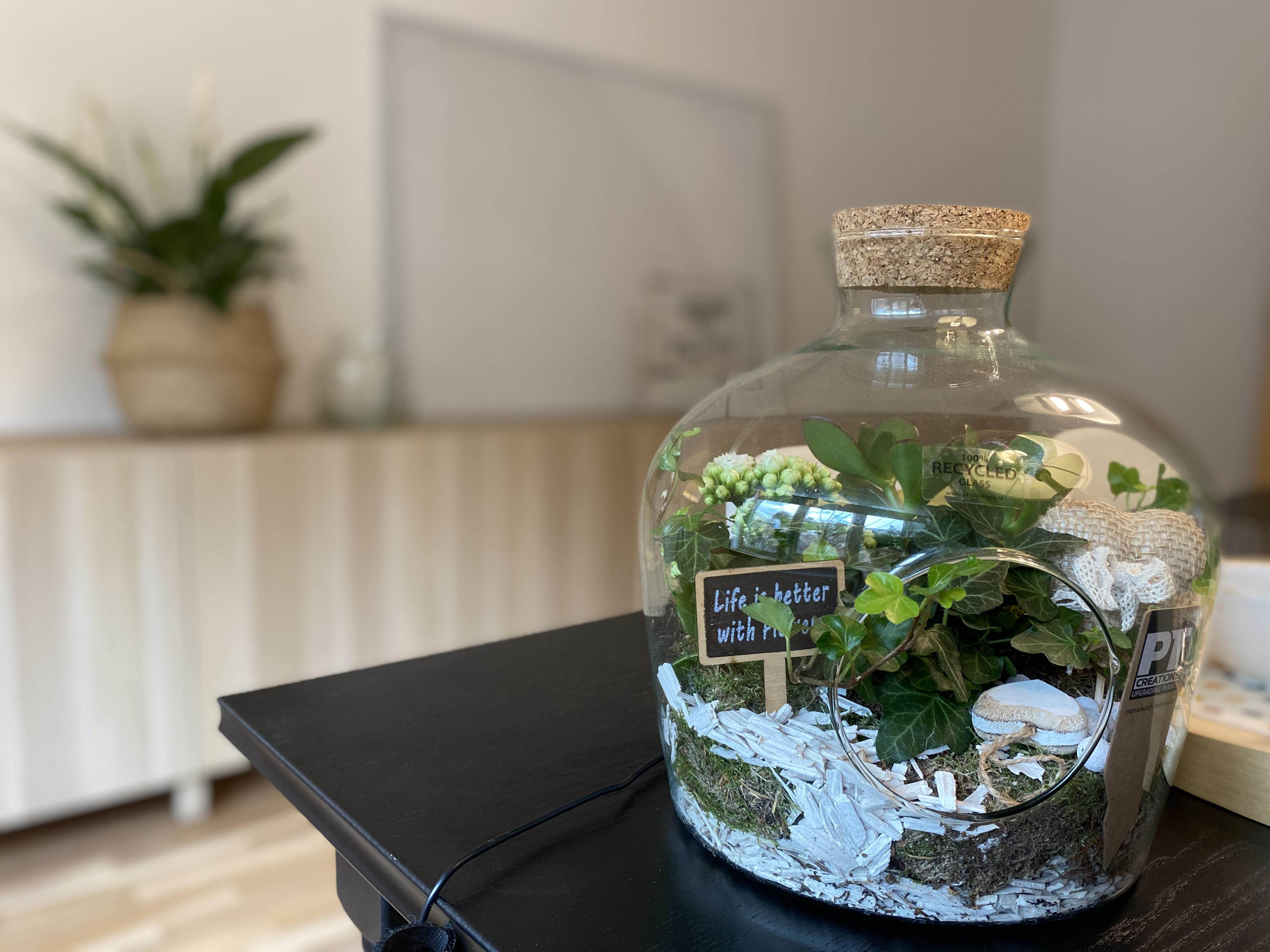 Ing. Miroslava Pavlíková foto 3