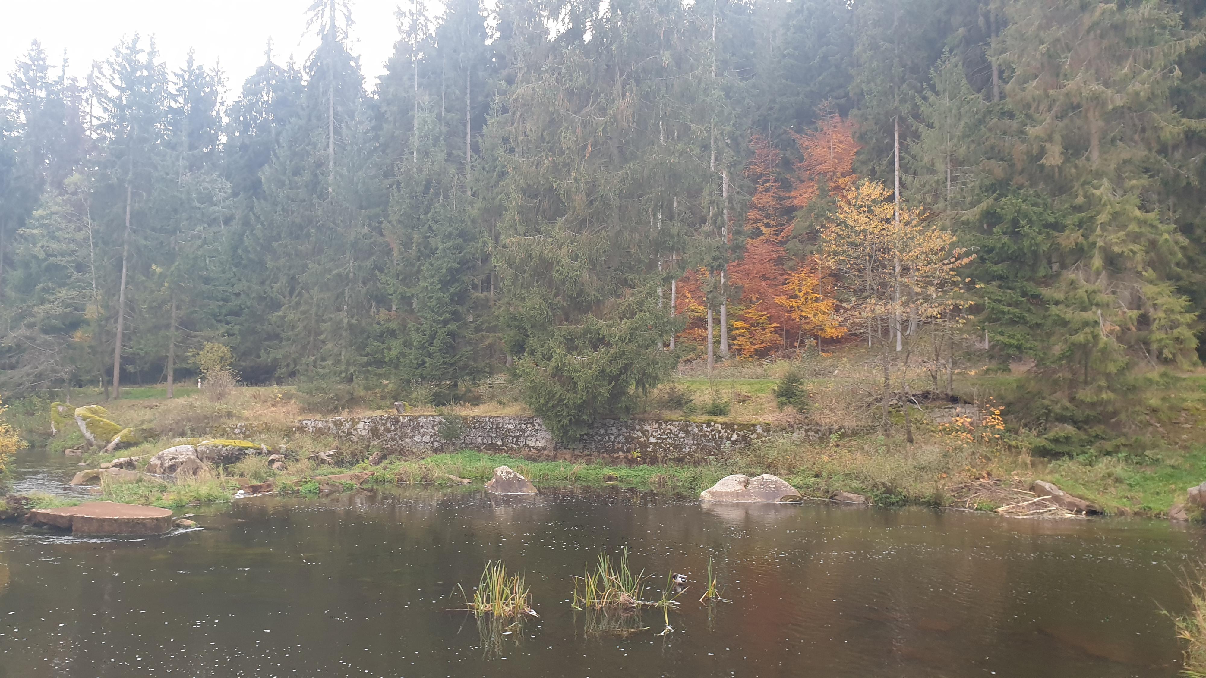 Club Rezidence Pod Lučí foto 4