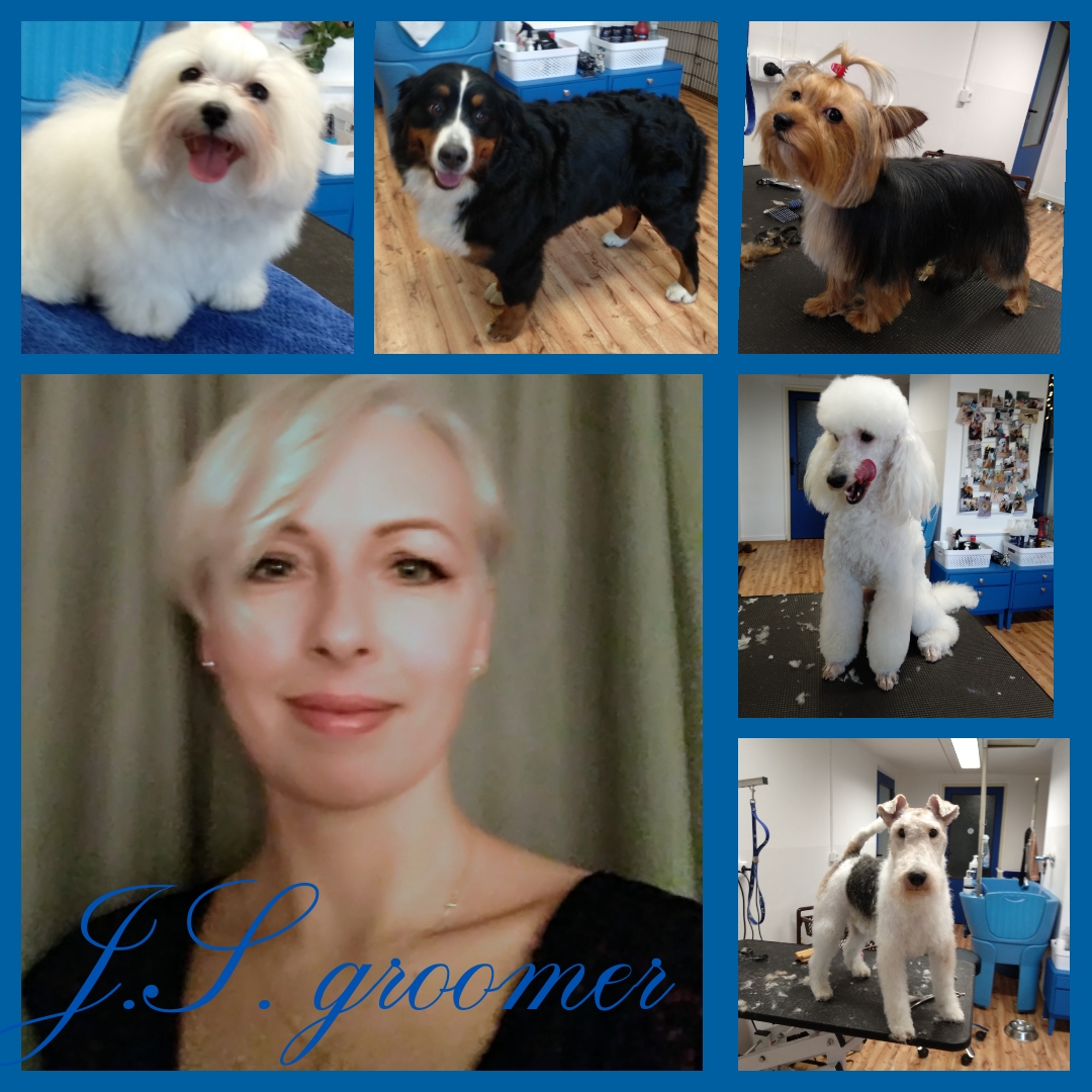 Psí salon J.S. groomer foto 2
