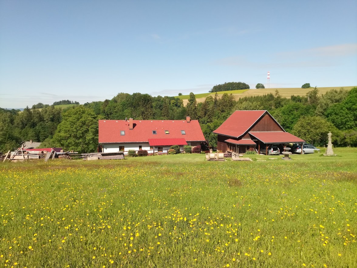 Na samotě u lesa foto 3